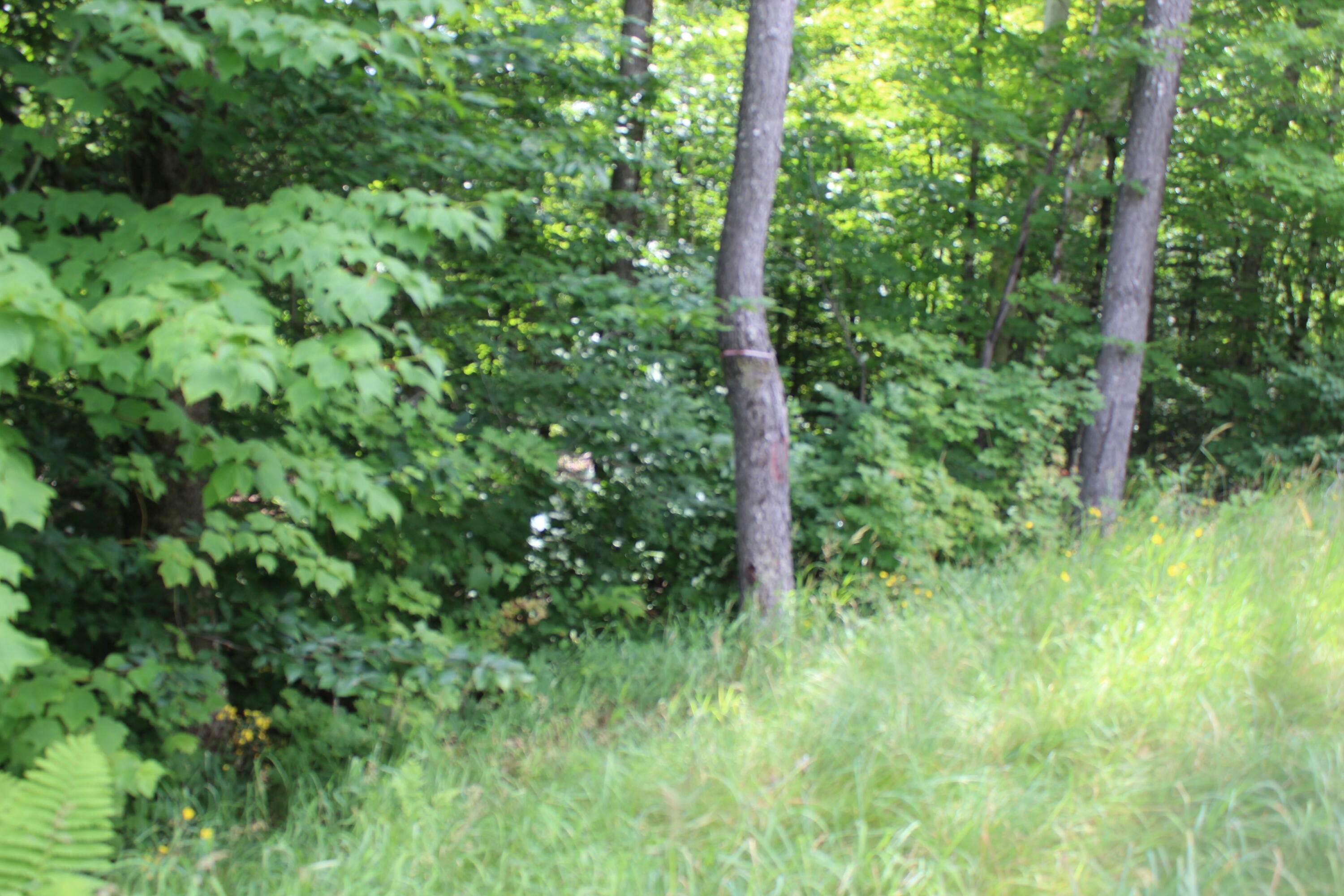 1093 Aroostook Scenic Highway