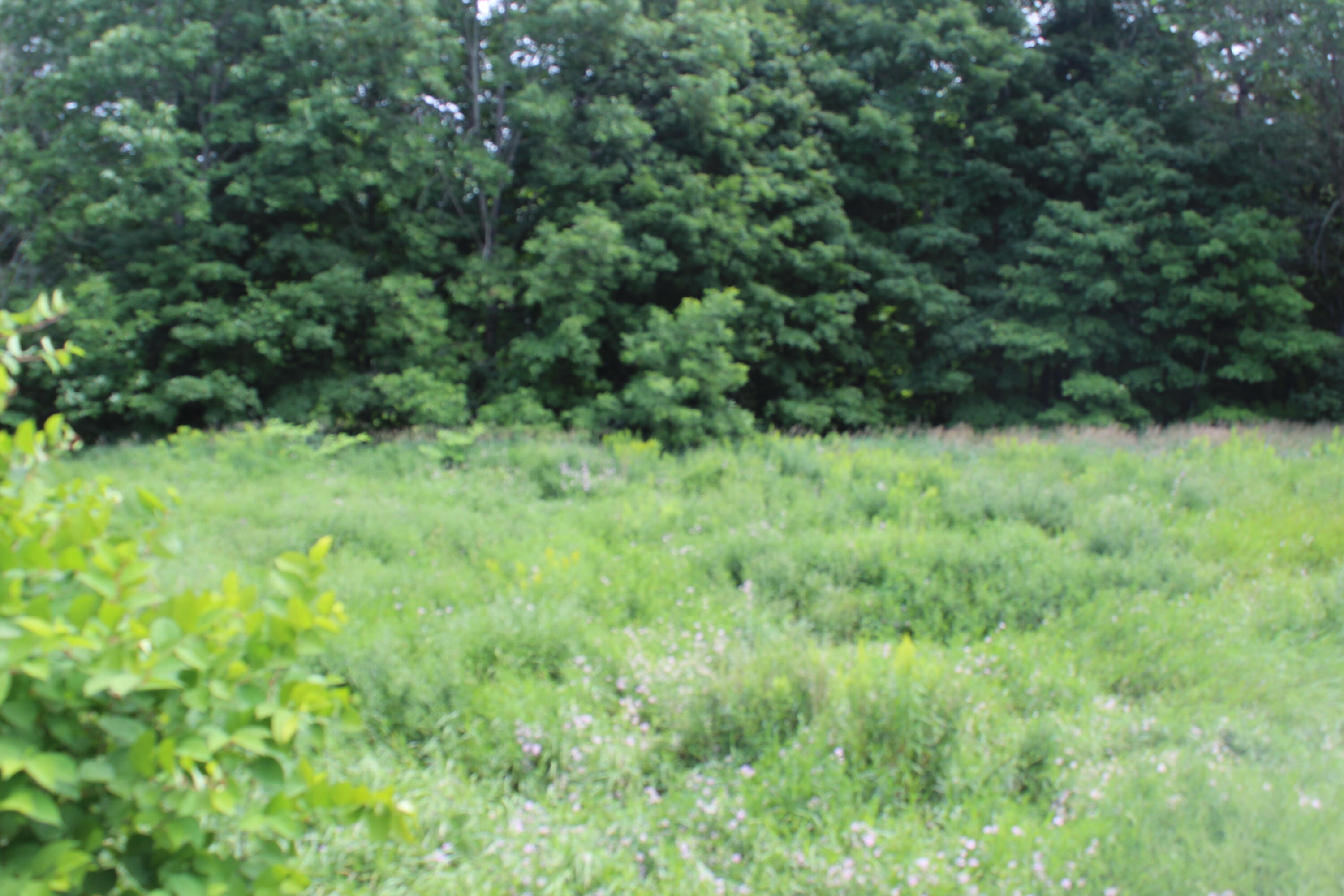 1093 Aroostook Scenic Highway
