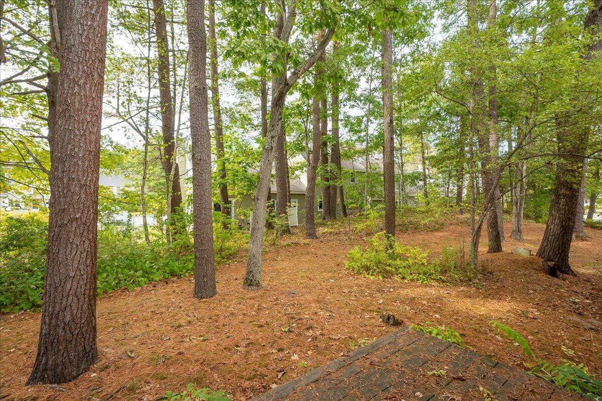 21 Pine Hill Drive 21