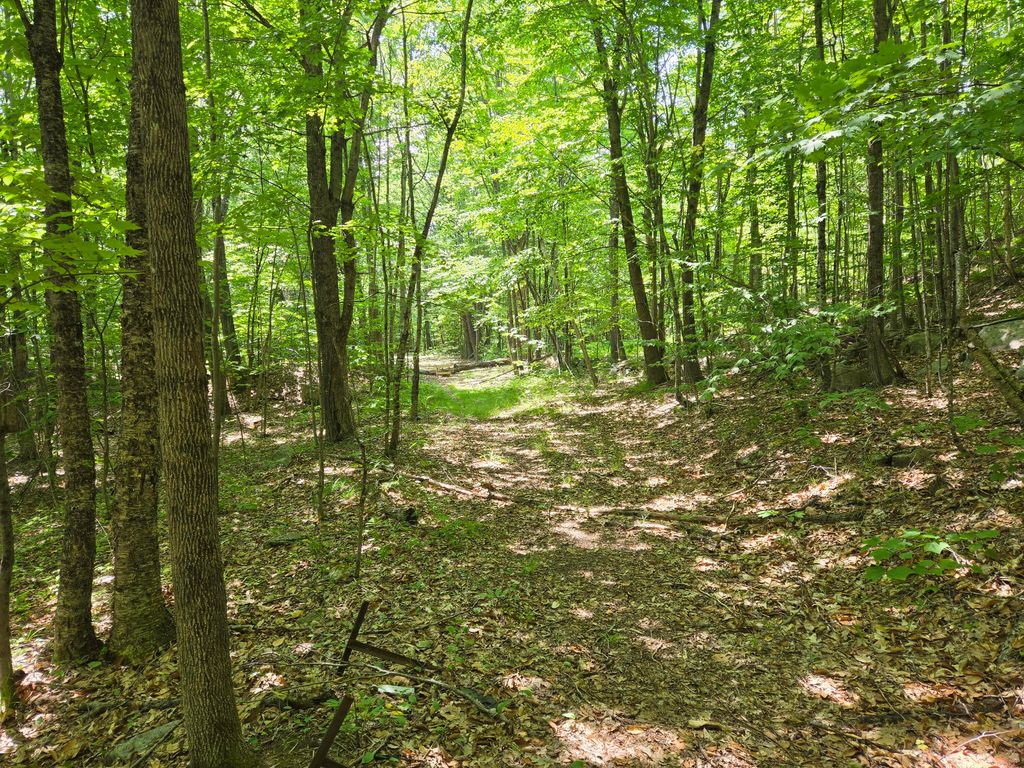 Photo of 0 Quarry Road, Jay, ME 04239 (MLS # 1667673)