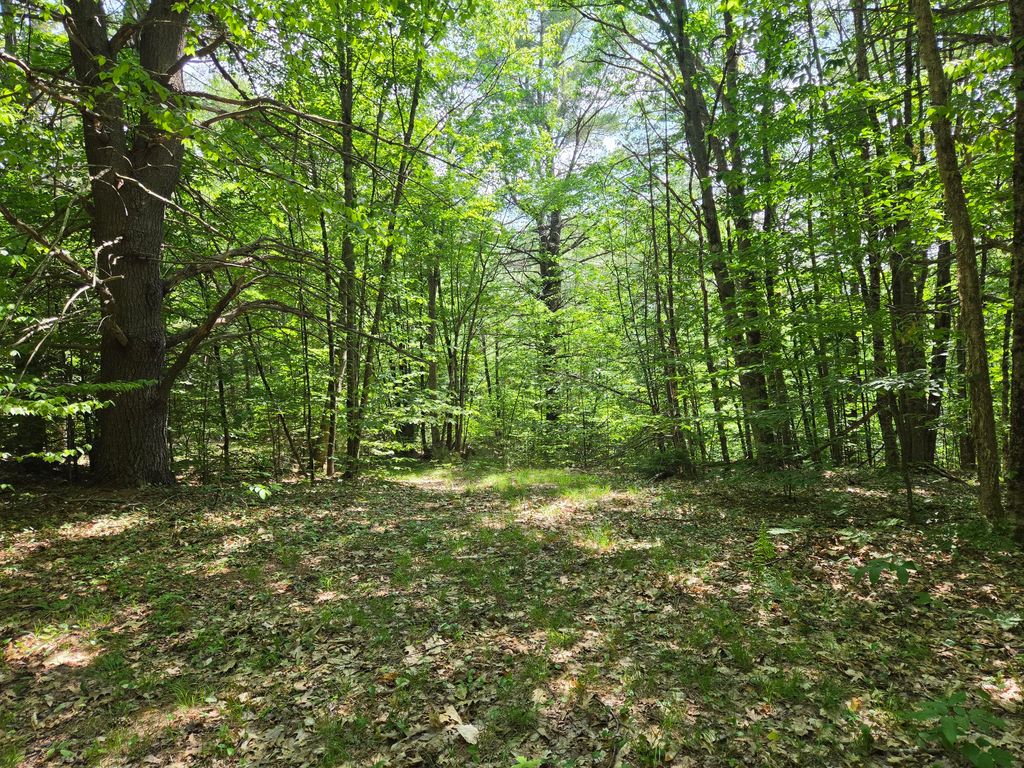 Photo of 0 Quarry Road, Jay, ME 04239 (MLS # 1667673)