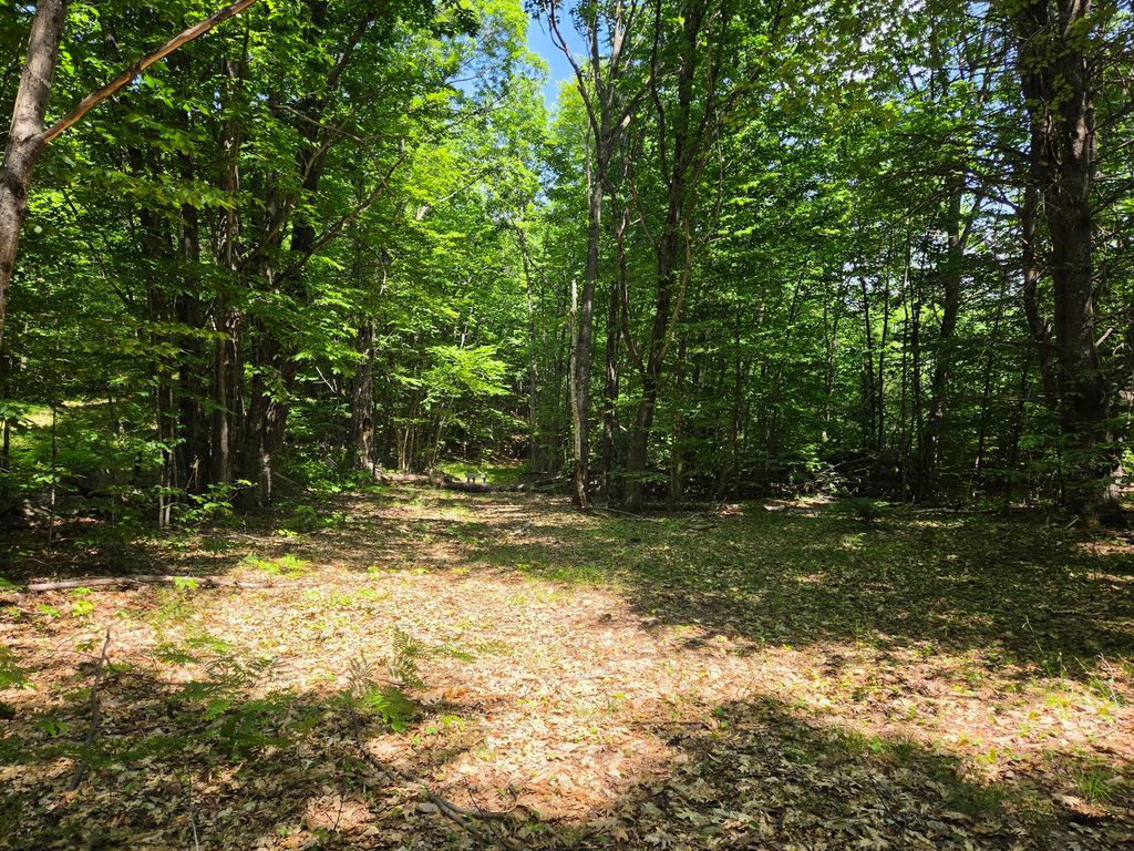Photo of 0 Quarry Road, Jay, ME 04239 (MLS # 1667673)