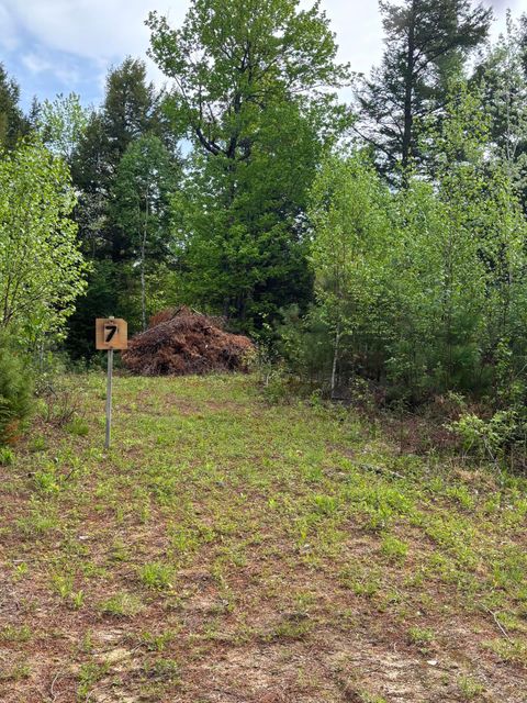 Photo of 7 Bog Brook Loop, West Paris, ME 04289 (MLS # 1657427)