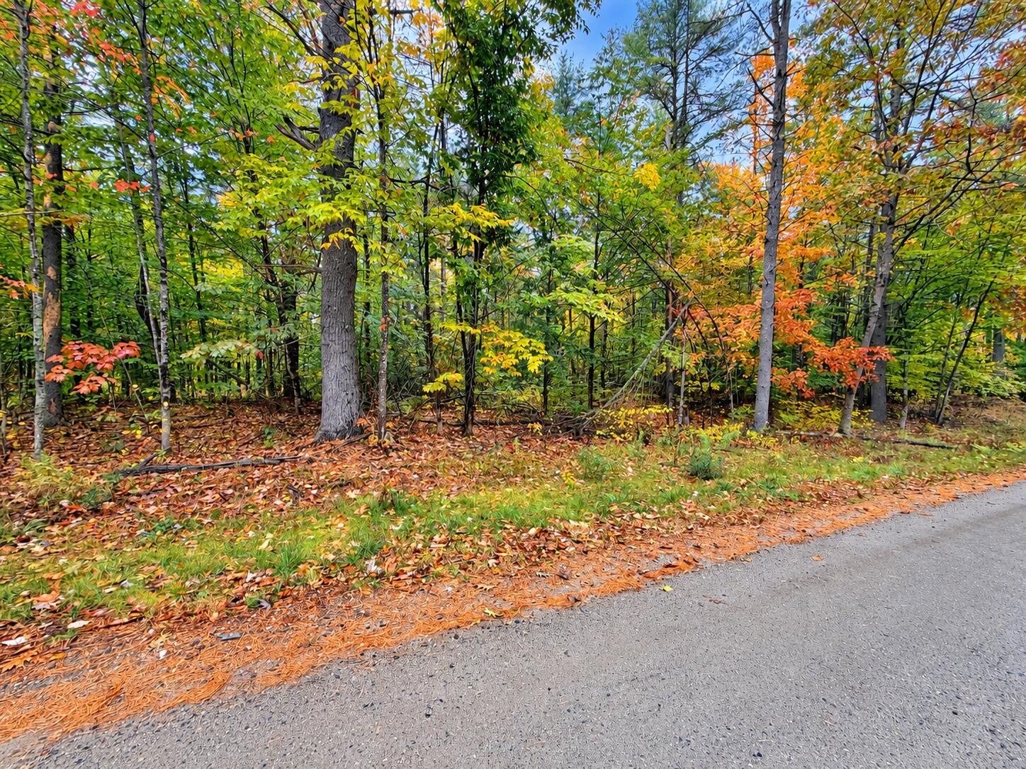 Lot #6 Fisher Drive