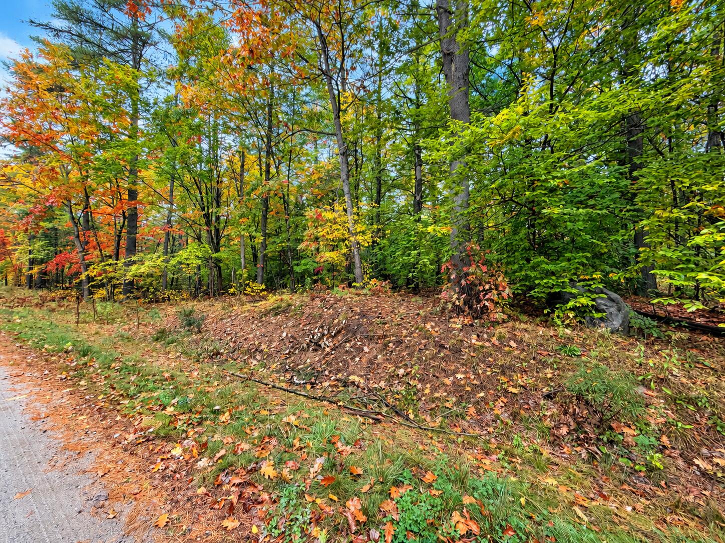 Lot #6 Fisher Drive