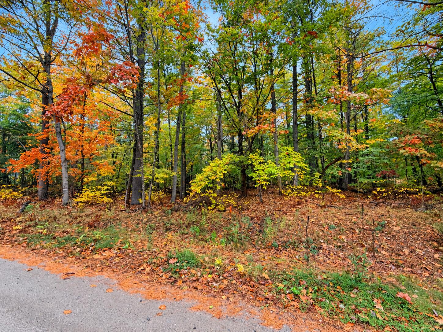 Lot #6 Fisher Drive