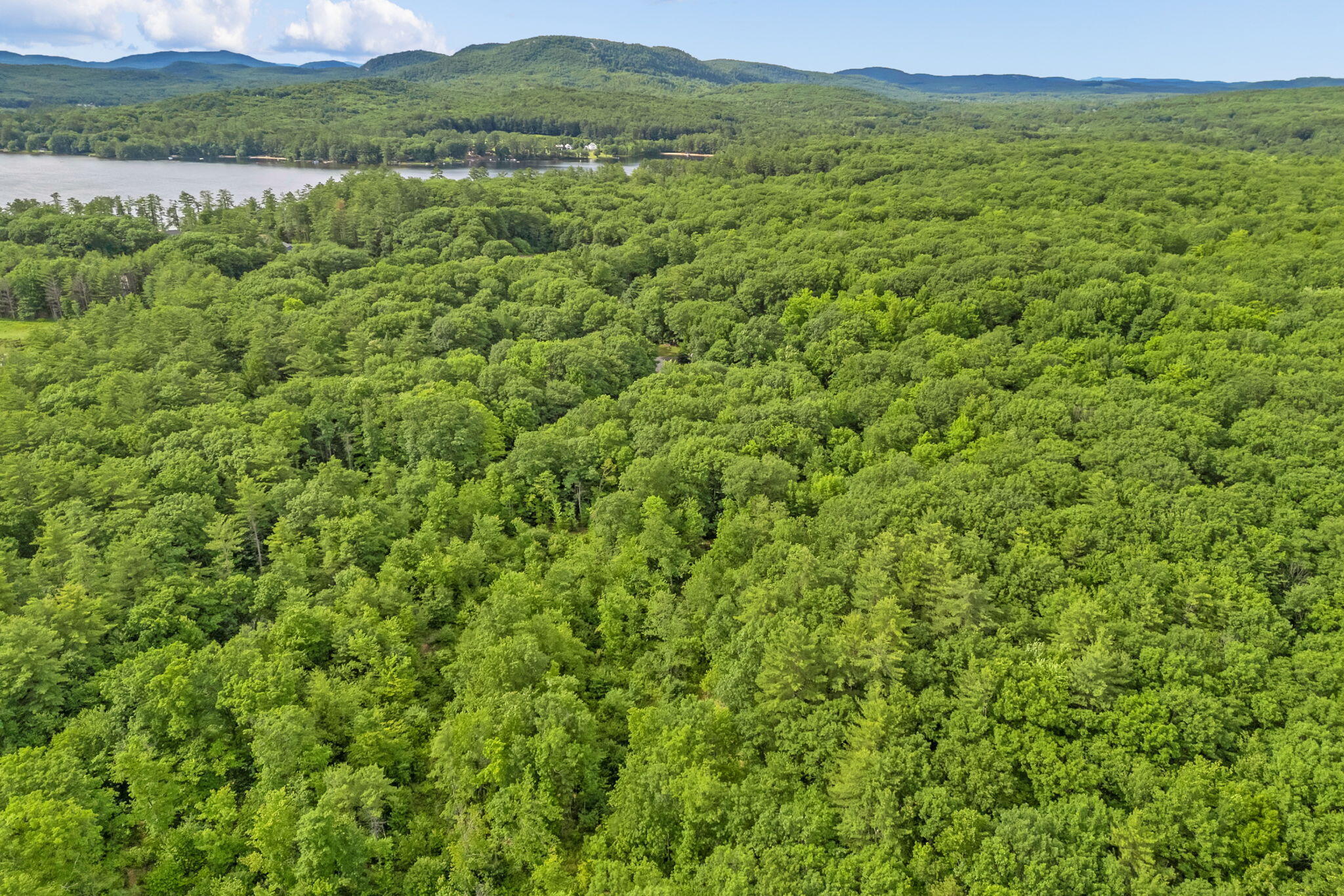 Lot 6 Forest Trail Drive