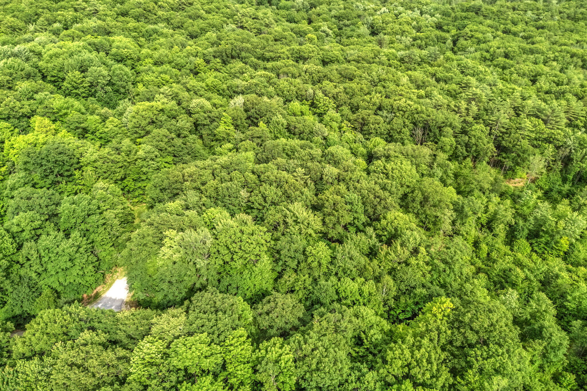 Lot 6 Forest Trail Drive