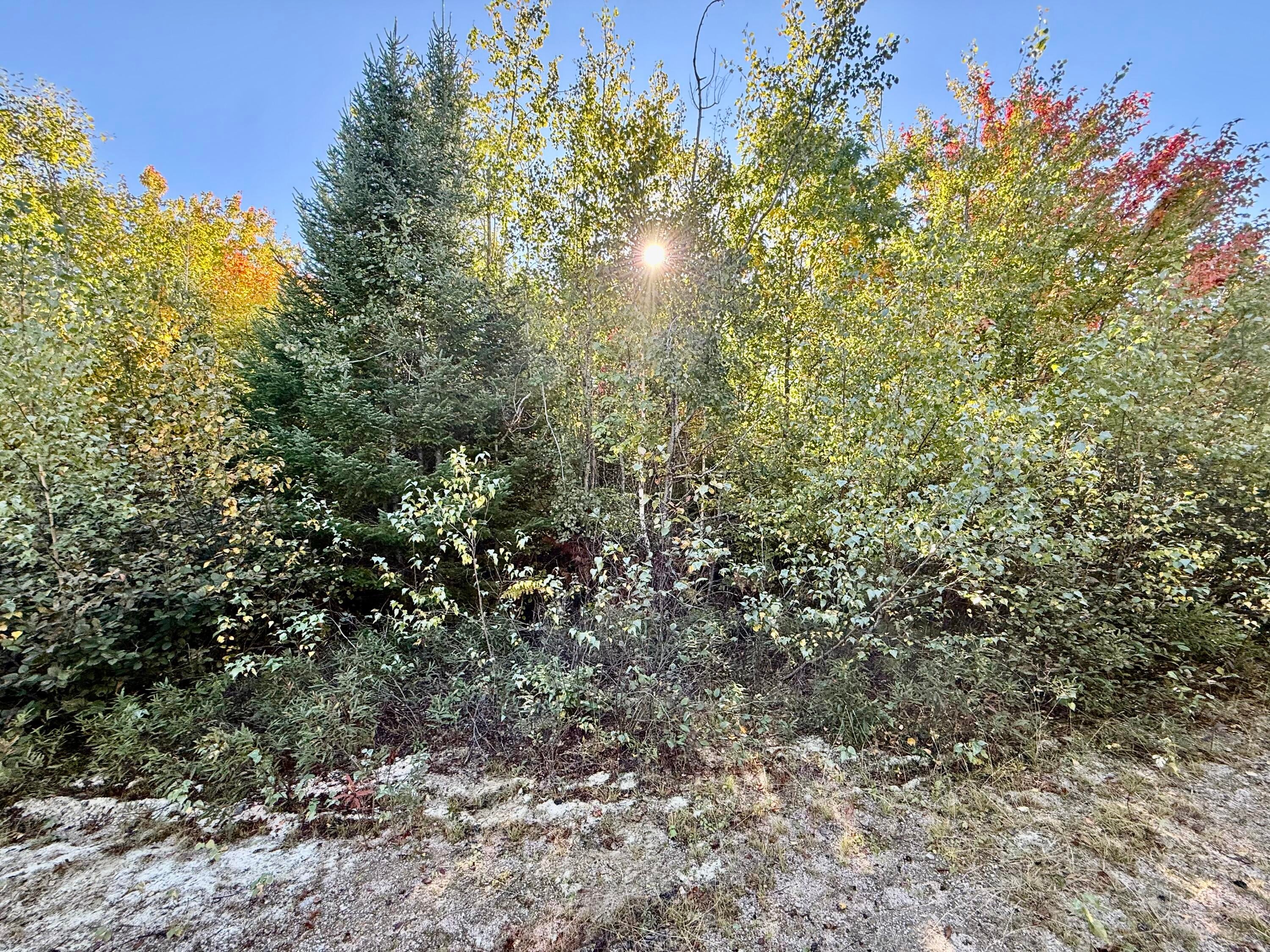 Lot 4 Number 7 Road