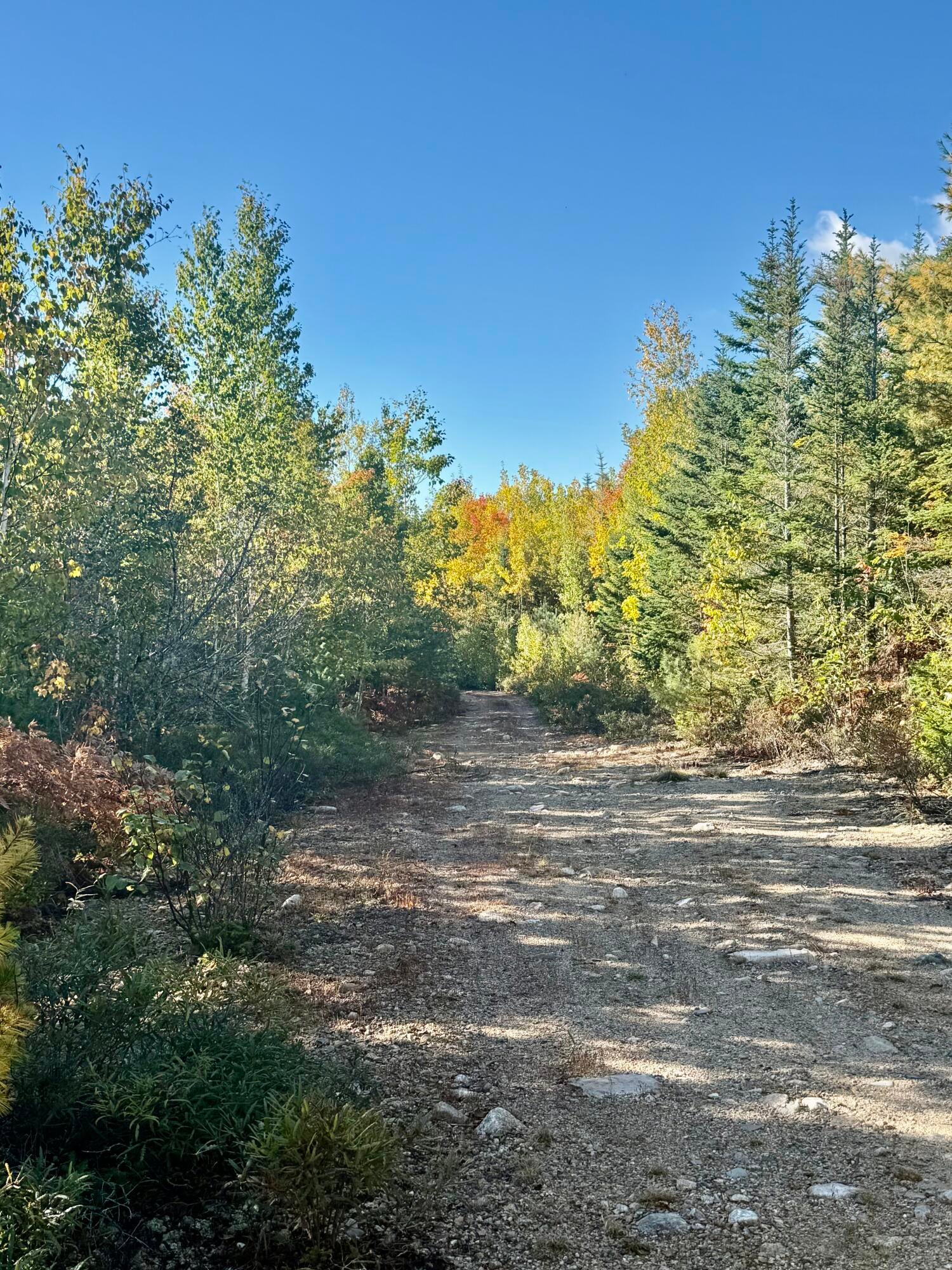 Lot 4 Number 7 Road