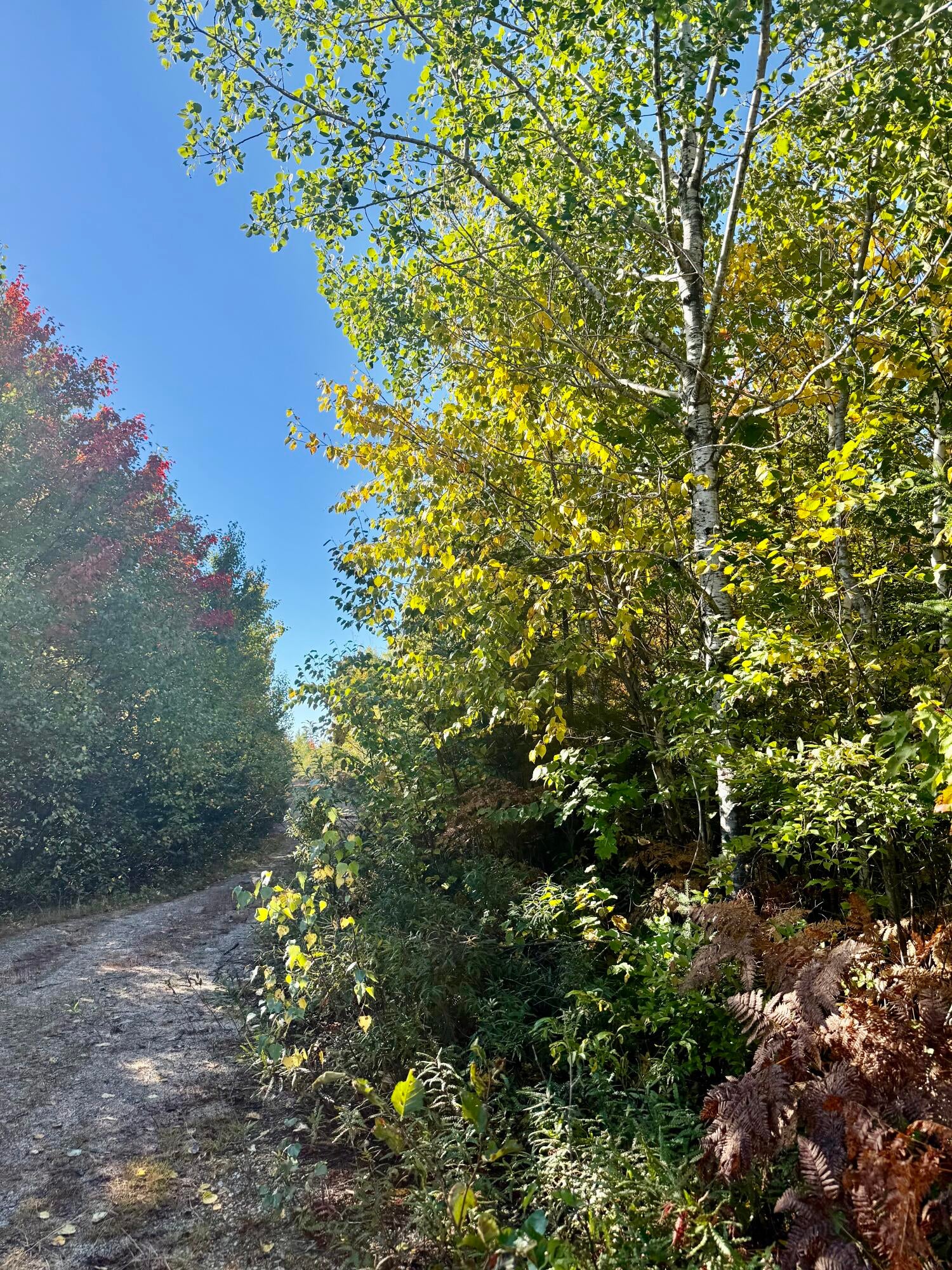 Lot 4 Number 7 Road