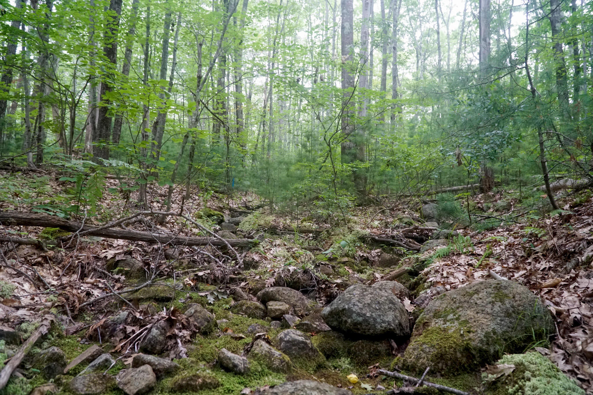 TBD Moose Rocks Road