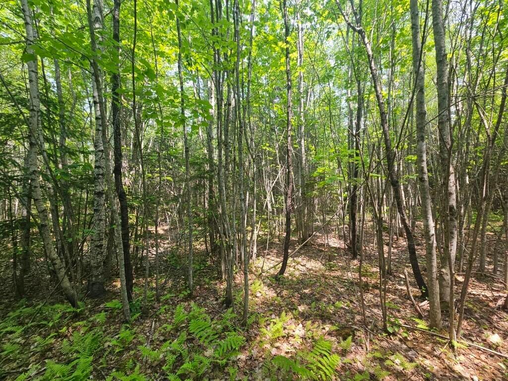 Photo of P/O 2016 Hudson Road, Hudson, ME 04449 (MLS # 1666634)