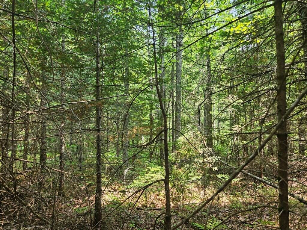 Photo of P/O 2016 Hudson Road, Hudson, ME 04449 (MLS # 1666634)