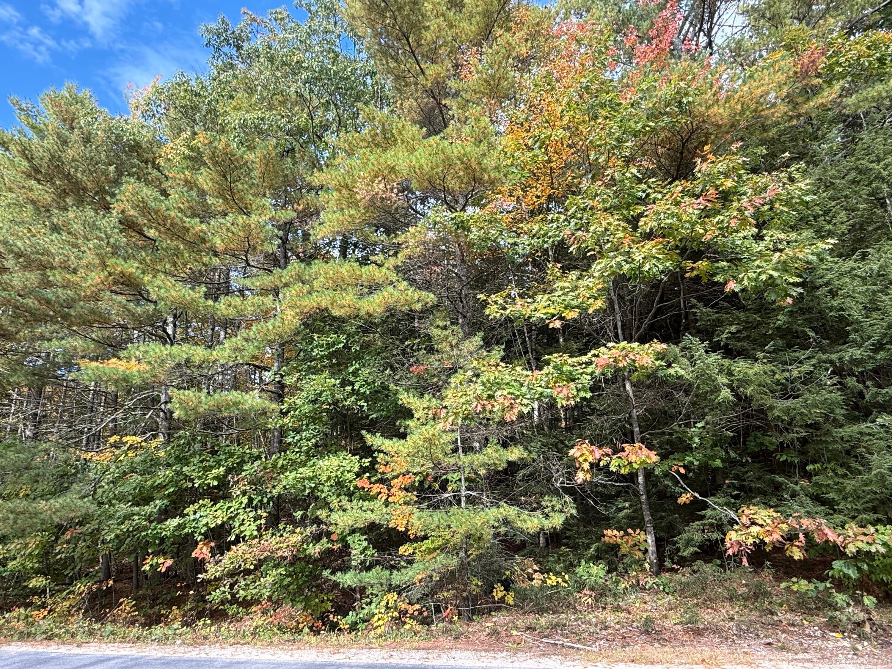 M43 L5 Shady Nook Road