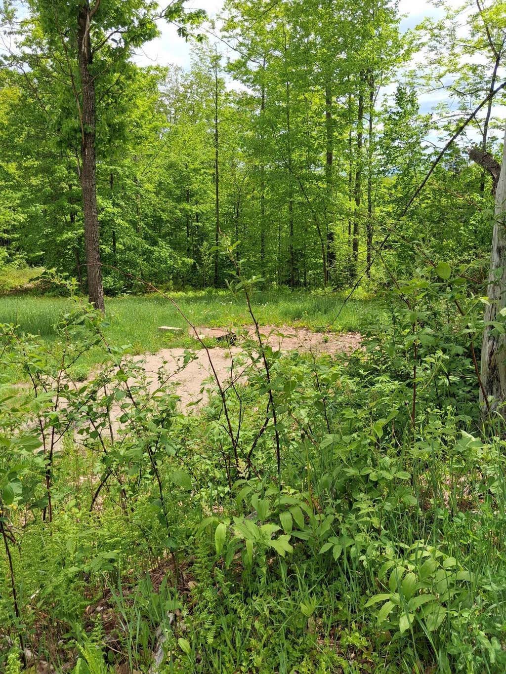 Photo of 209 Adams Road, Chesterville, ME 04938 (MLS # 1664434)