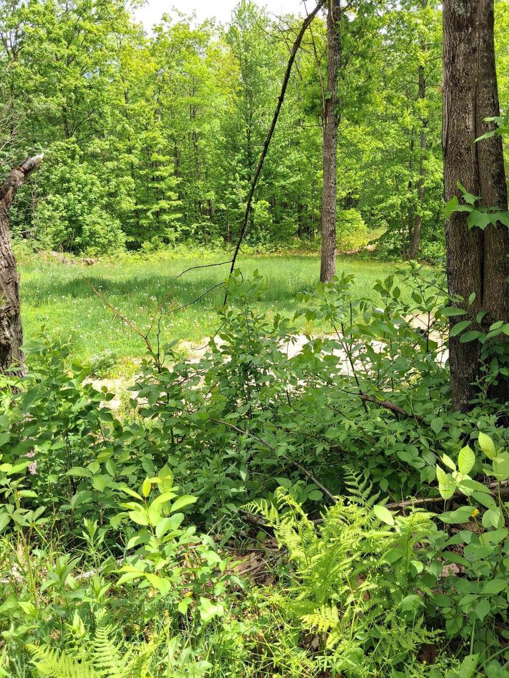 Photo of 209 Adams Road, Chesterville, ME 04938 (MLS # 1664434)