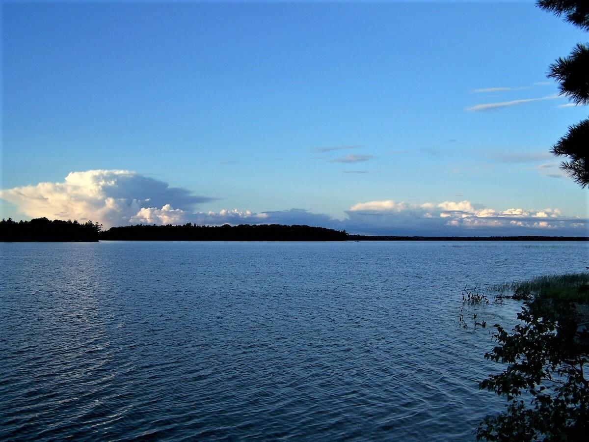 WA 4 L 8.7 Big Lake Landing Road