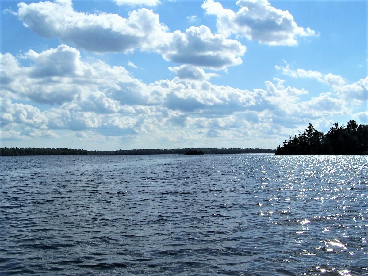 WA 4 L 8.7 Big Lake Landing Road