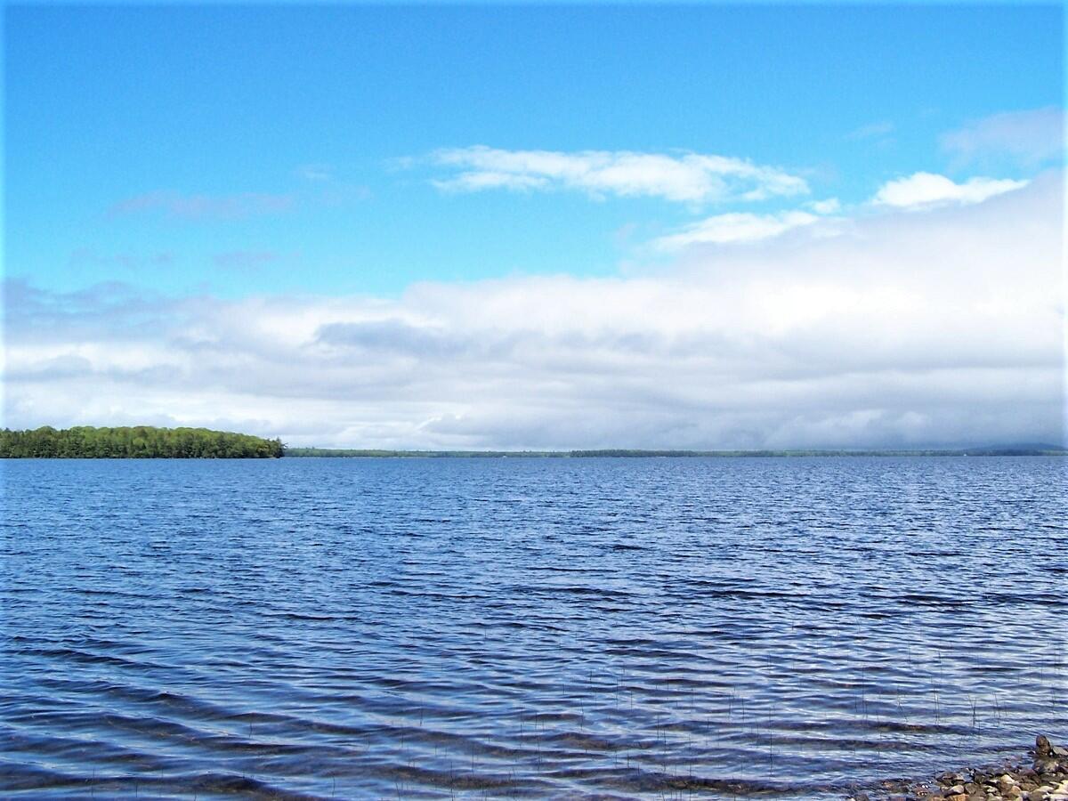 WA 4 L 8.7 Big Lake Landing Road