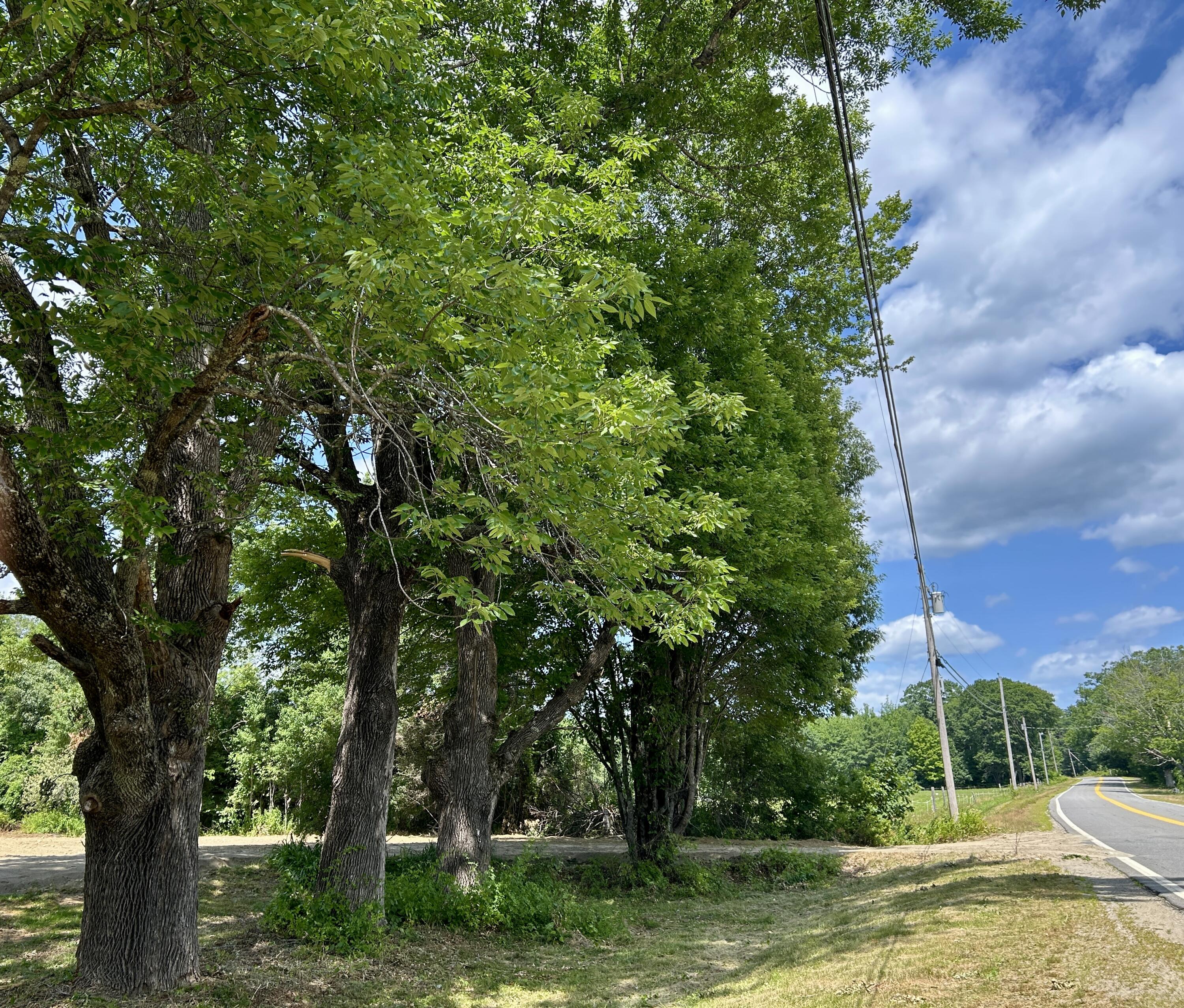 1152 W Alna Road