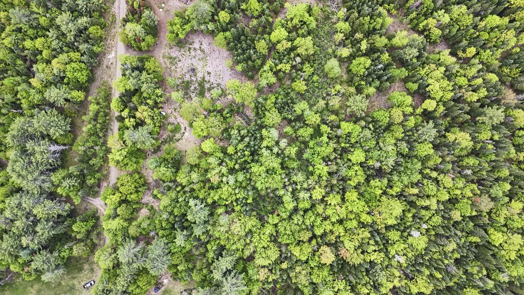 Photo of M2 L21-2 S Ridge Road, Palmyra, ME 04965 (MLS # 1664631)
