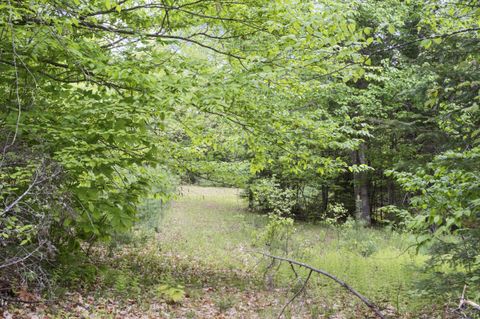 Photo of M2 L21-2 S Ridge Road, Palmyra, ME 04965 (MLS # 1664631)