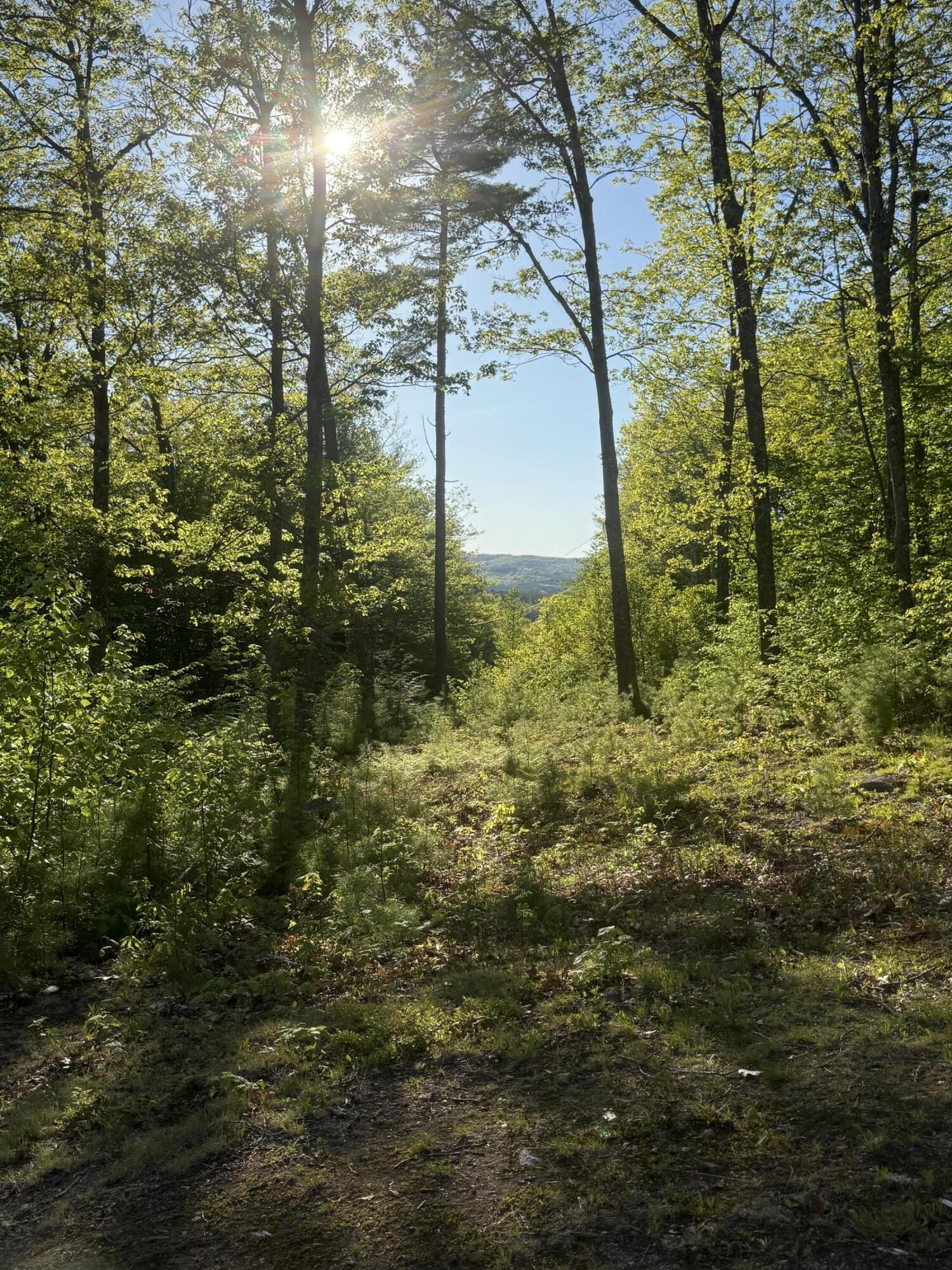 Lot 9 McDaniels Road