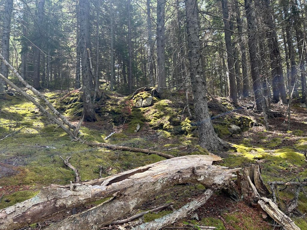 Photo of 000 Stanley Point Road, Swans Island, ME 04685 (MLS # 1664536)