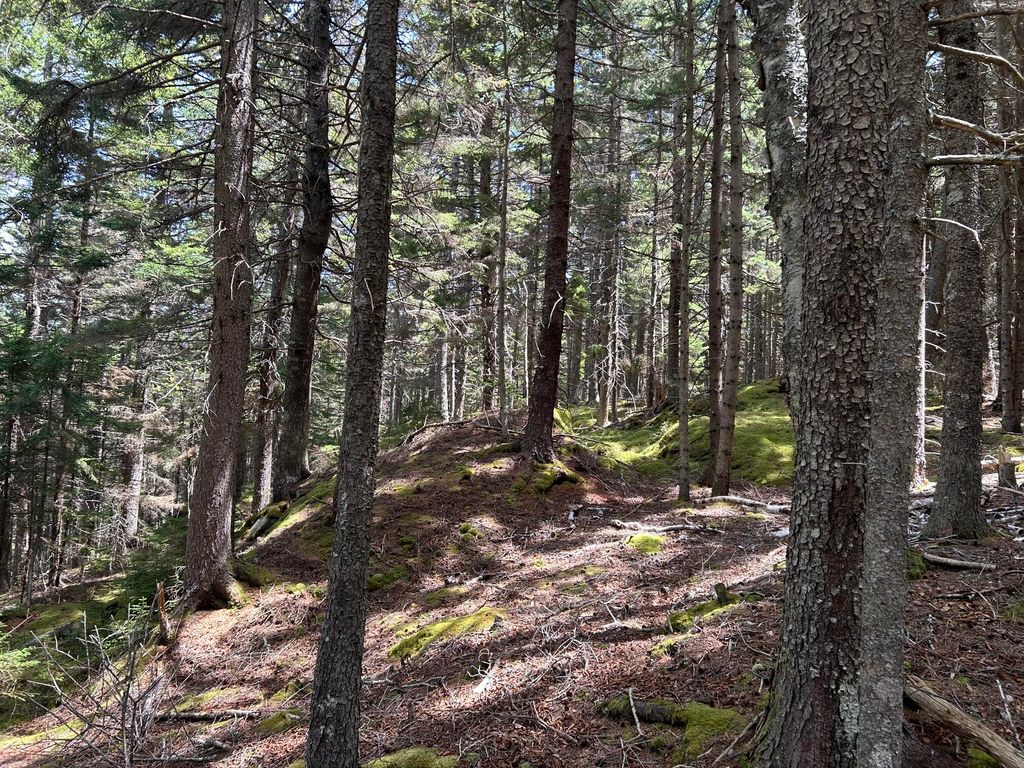 Photo of 000 Stanley Point Road, Swans Island, ME 04685 (MLS # 1664536)
