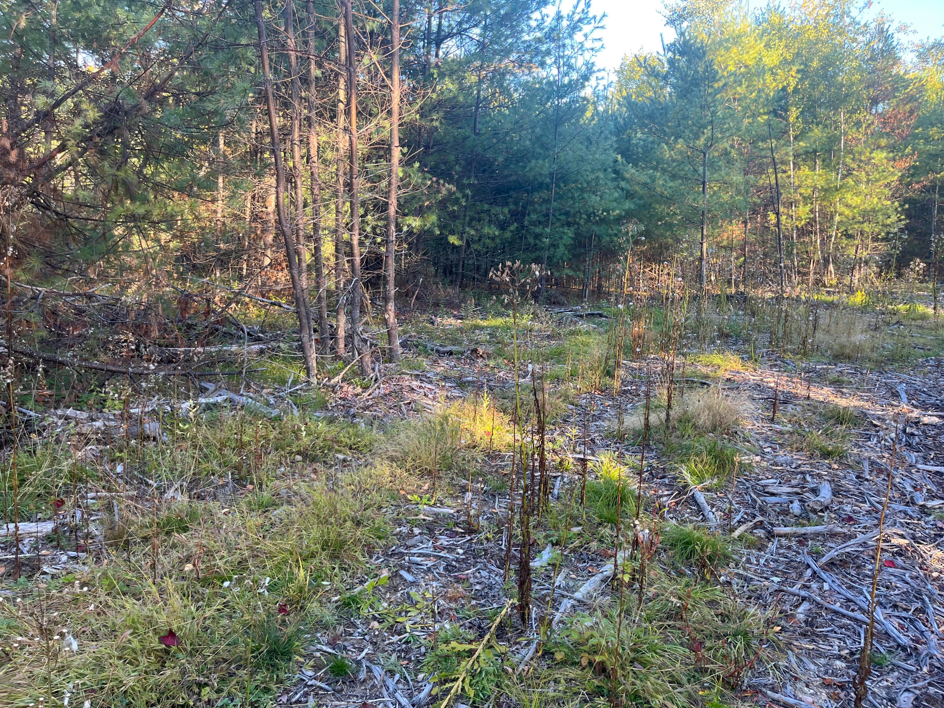 0 Flagg Mill Road