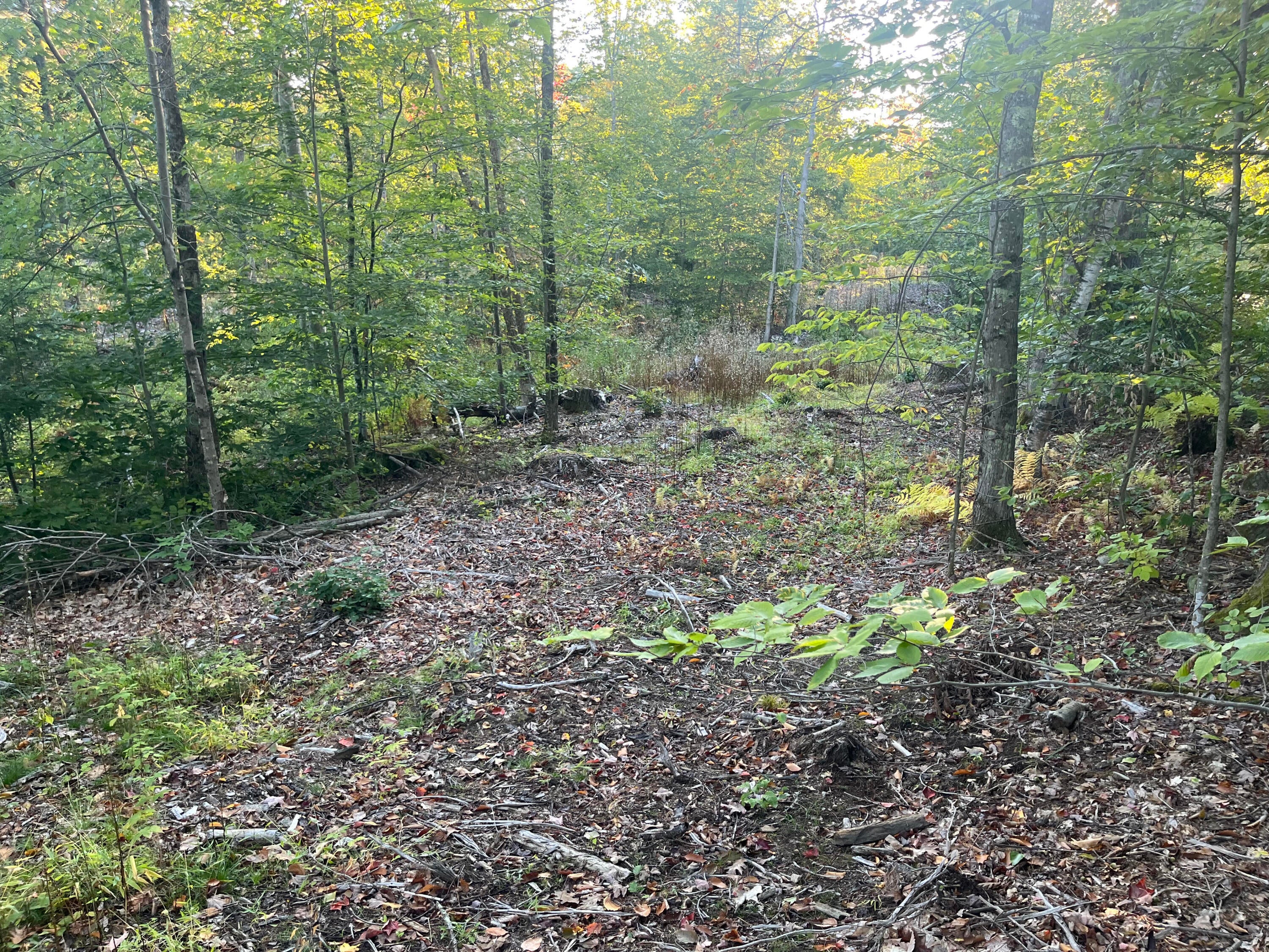 0 Flagg Mill Road