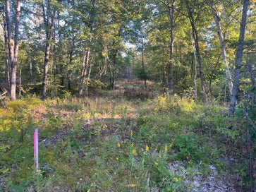 0 Flagg Mill Road Naples ME 04055