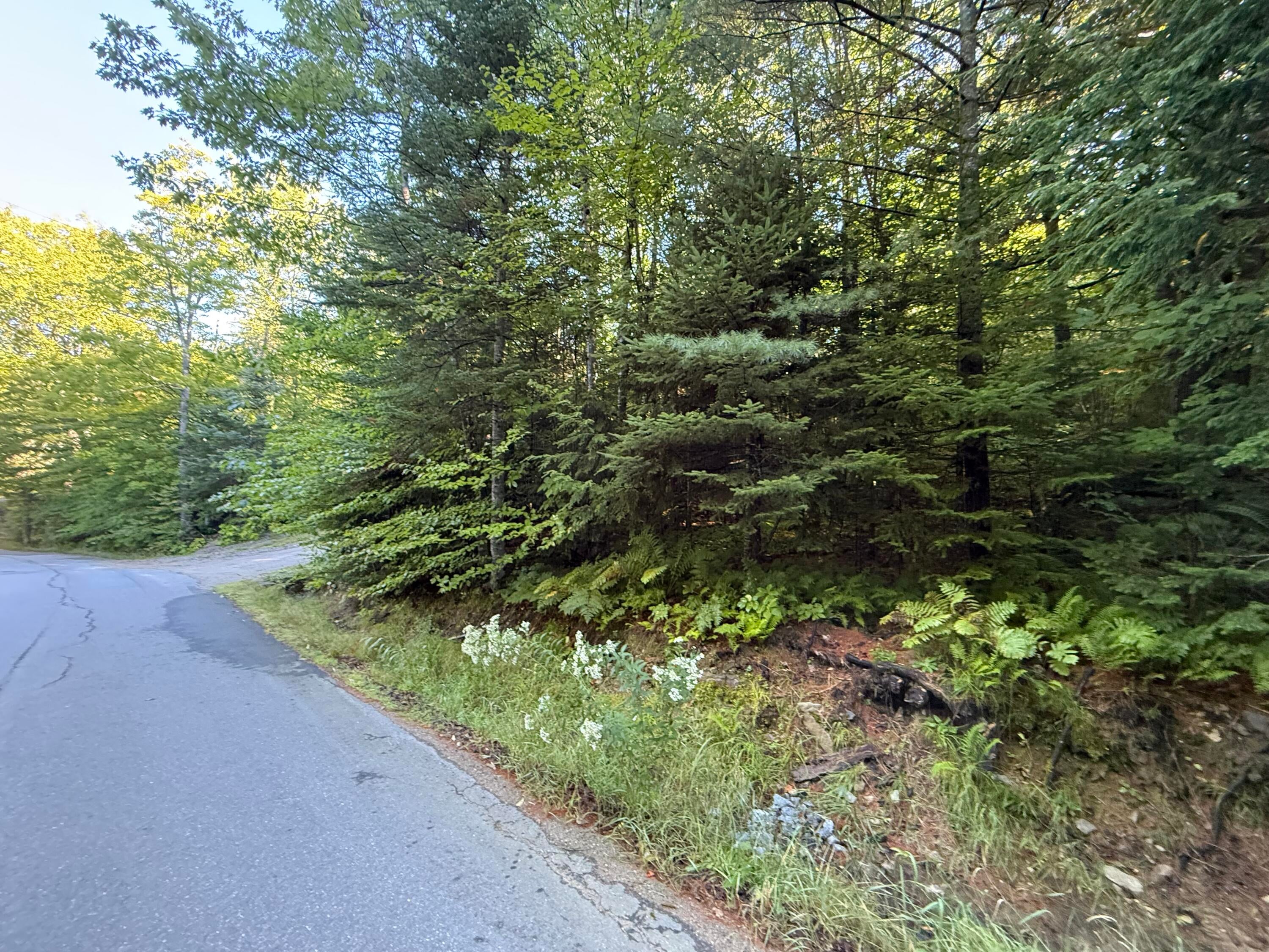 R213C Howard Pond Road