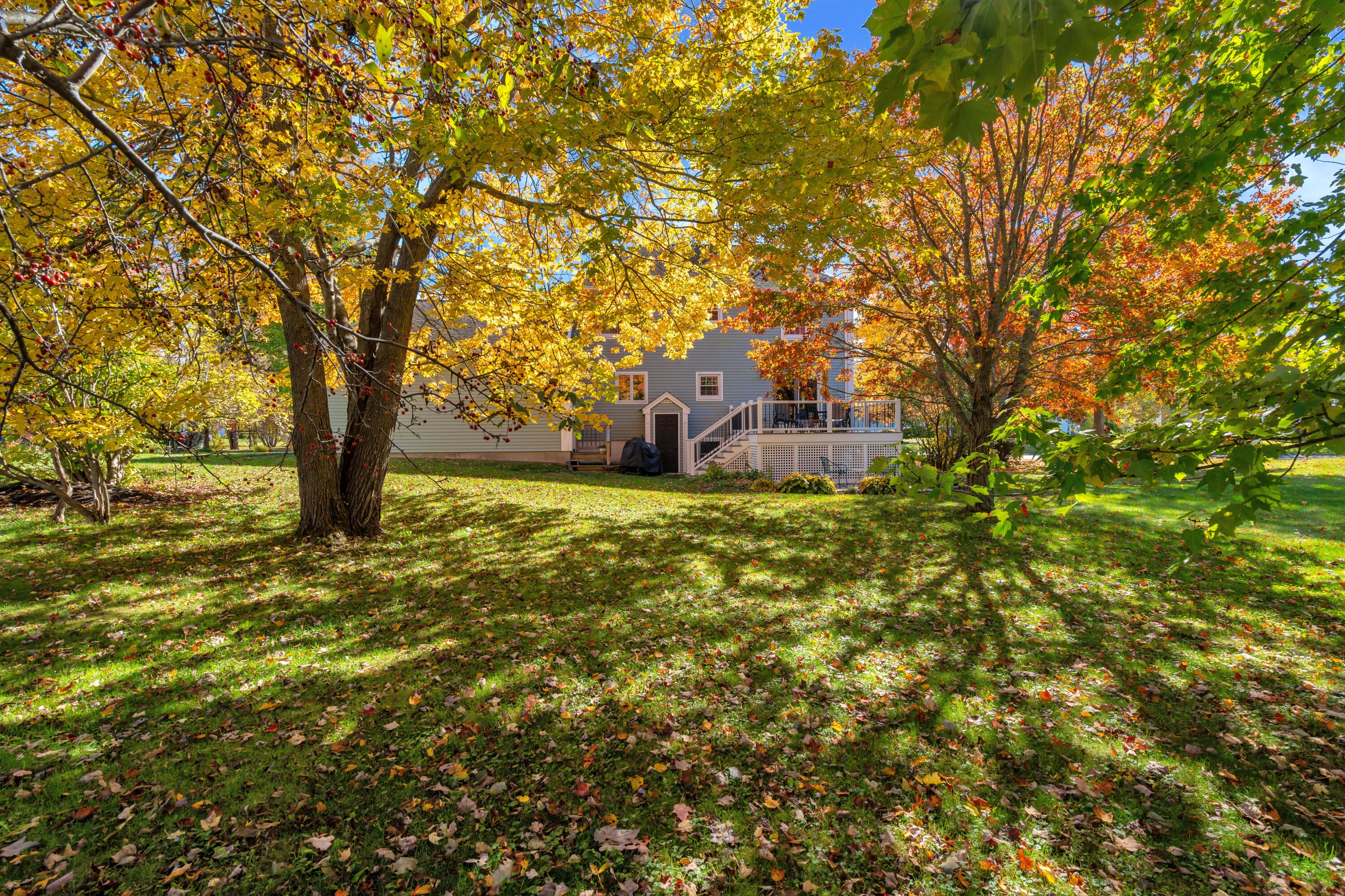 30 Tamarack Drive