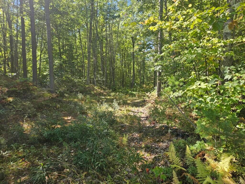 9G Pequawket Trail
