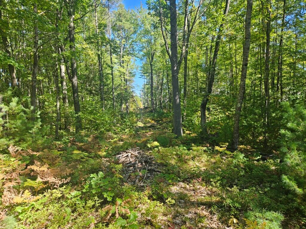 9G Pequawket Trail