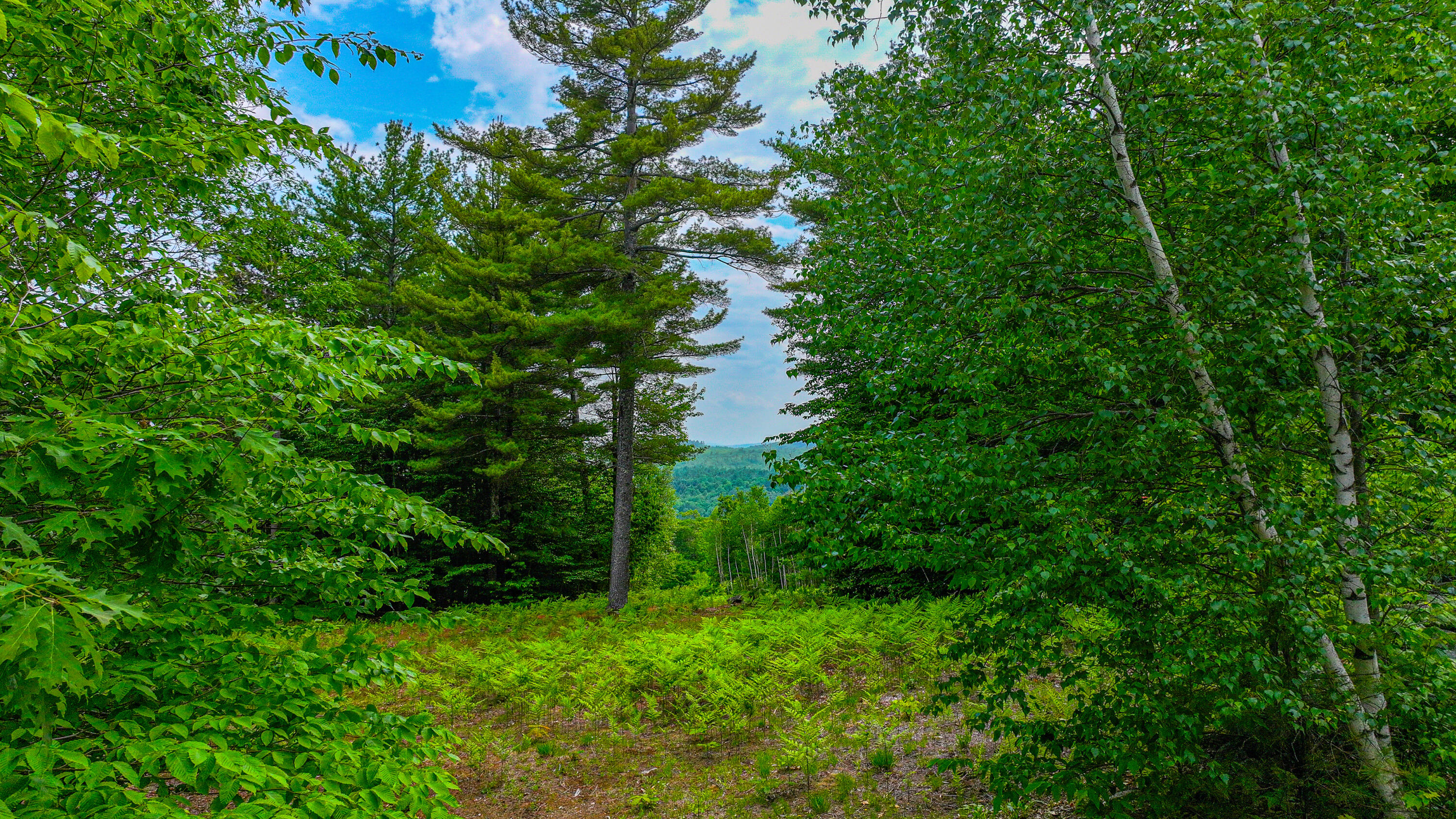 Lot 31C David Road