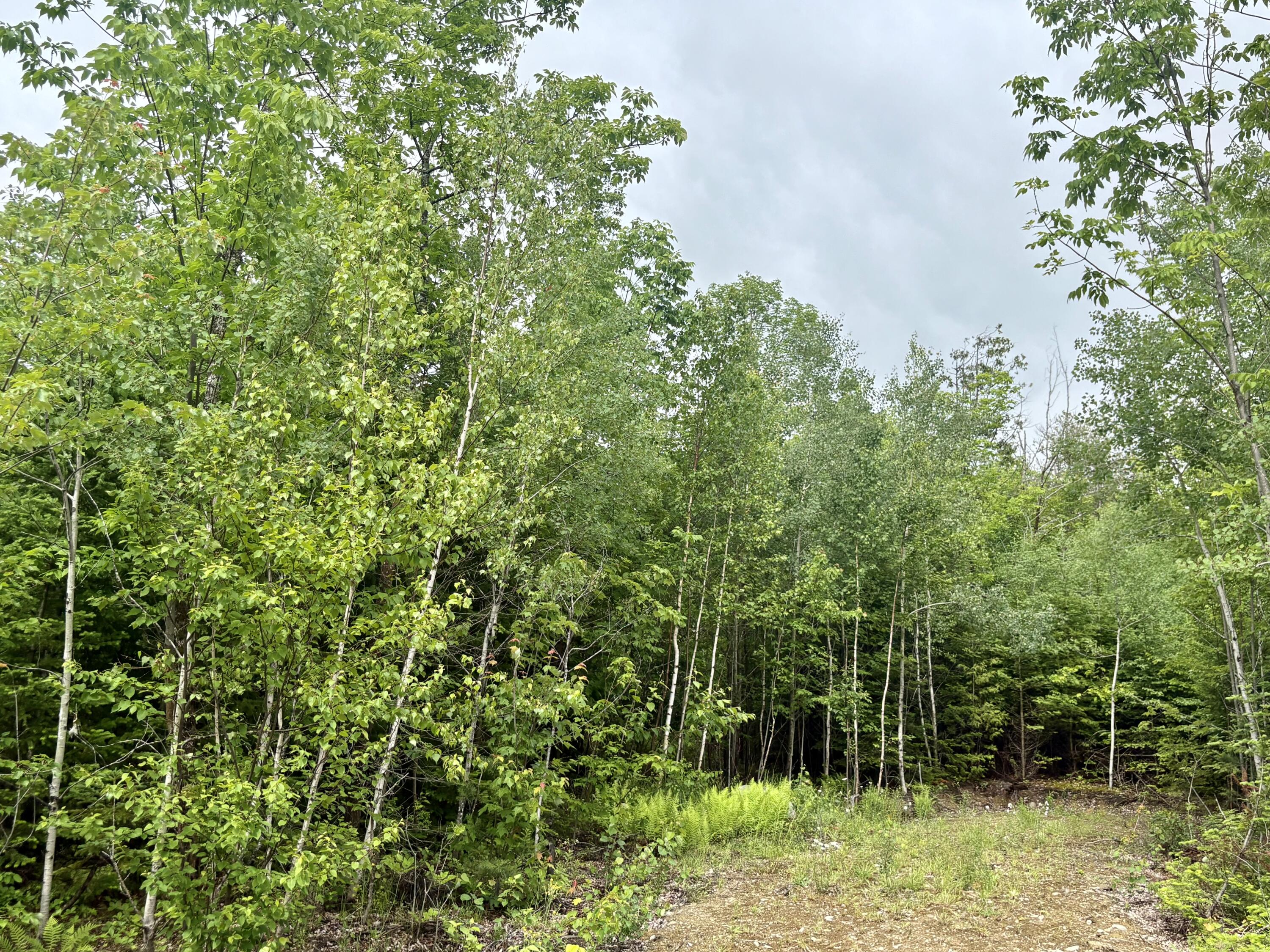 Lot 4 Mt. Jefferson Heights
