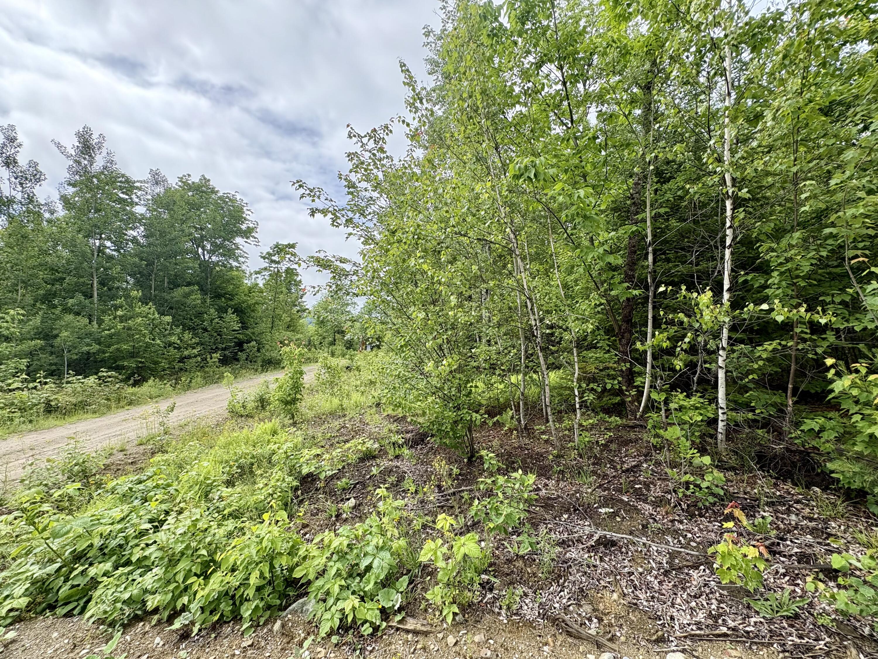 Lot 4 Mt. Jefferson Heights