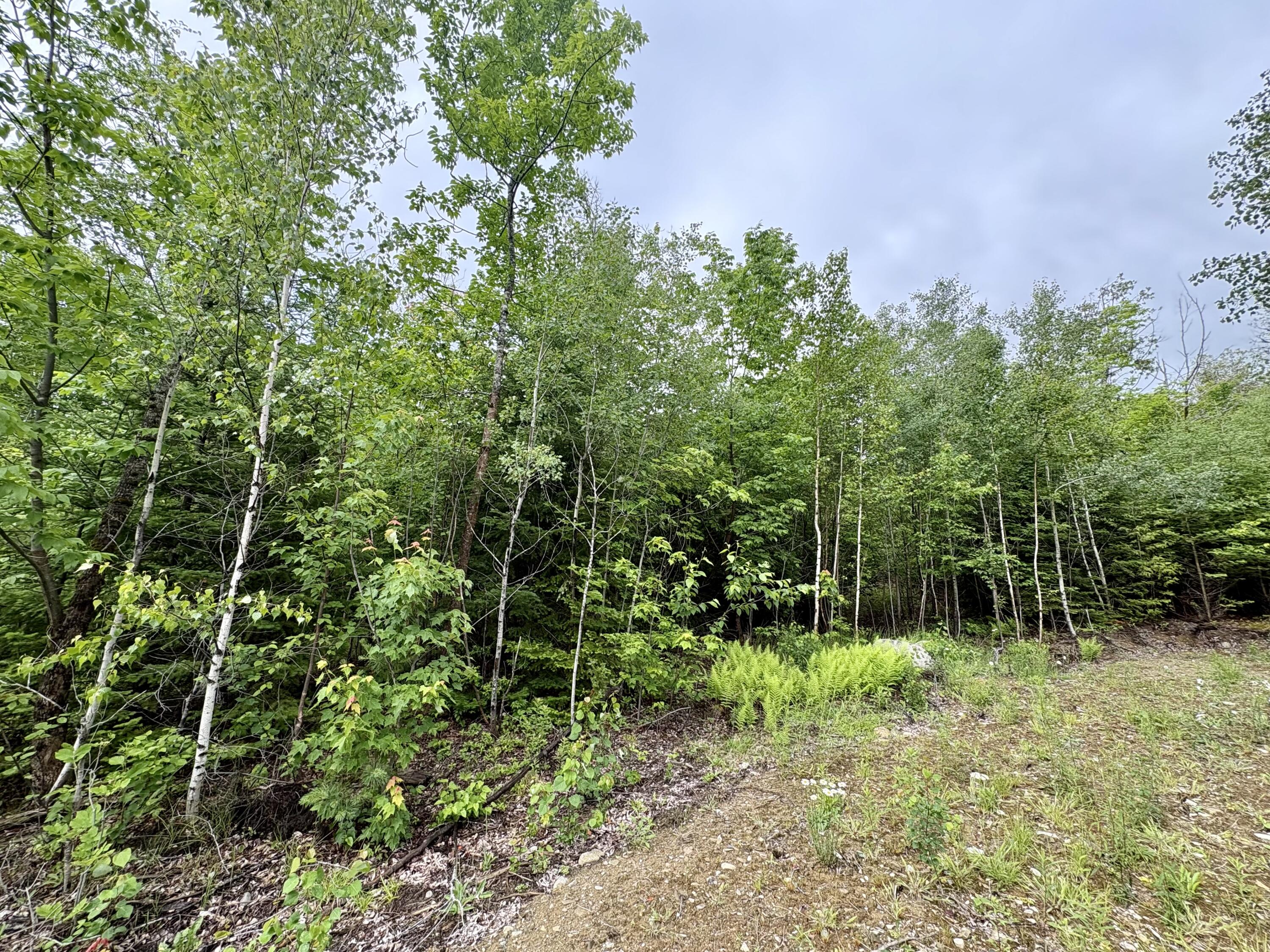 Lot 4 Mt. Jefferson Heights