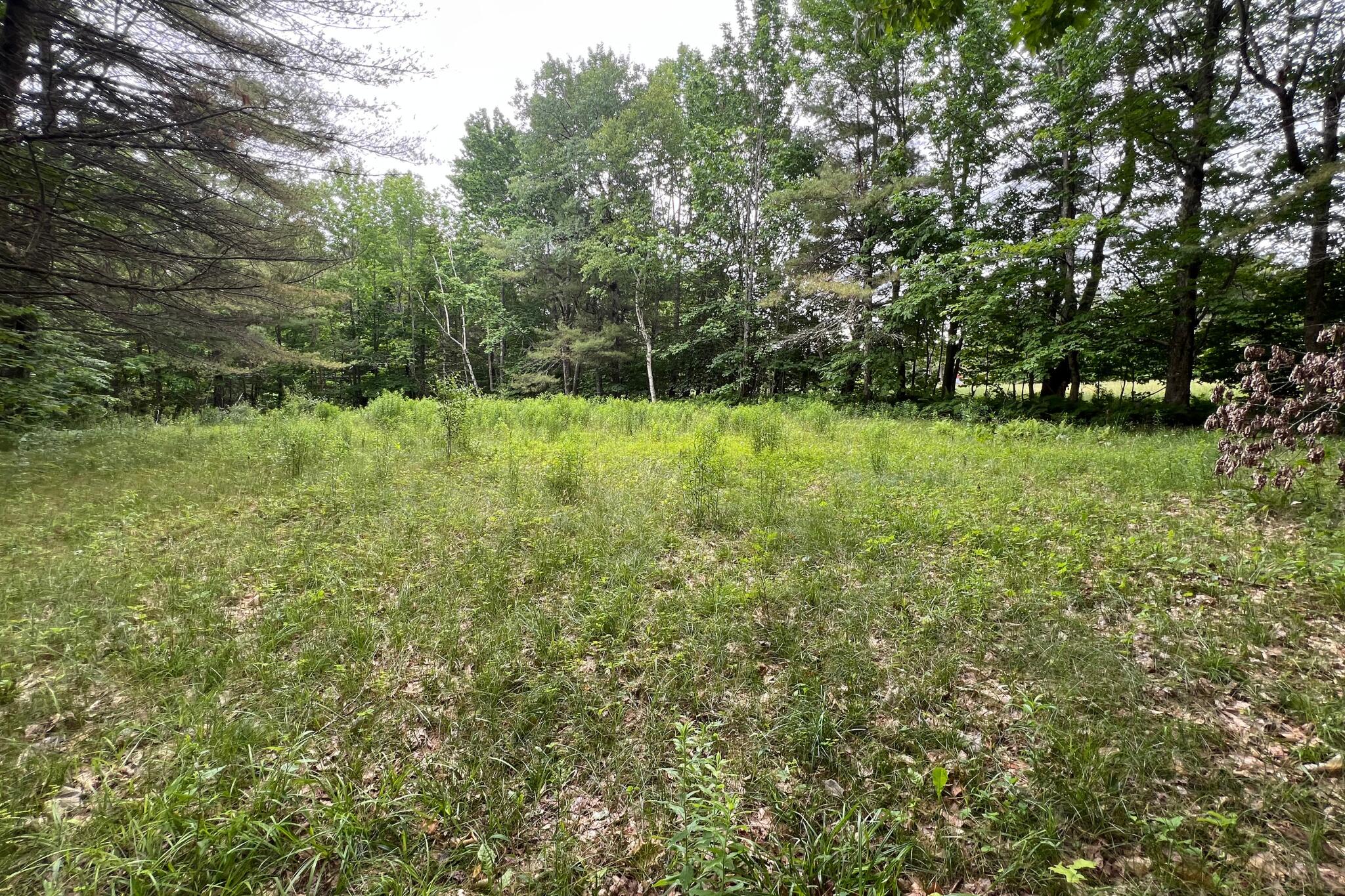 LotR11-25C Hallowell Road