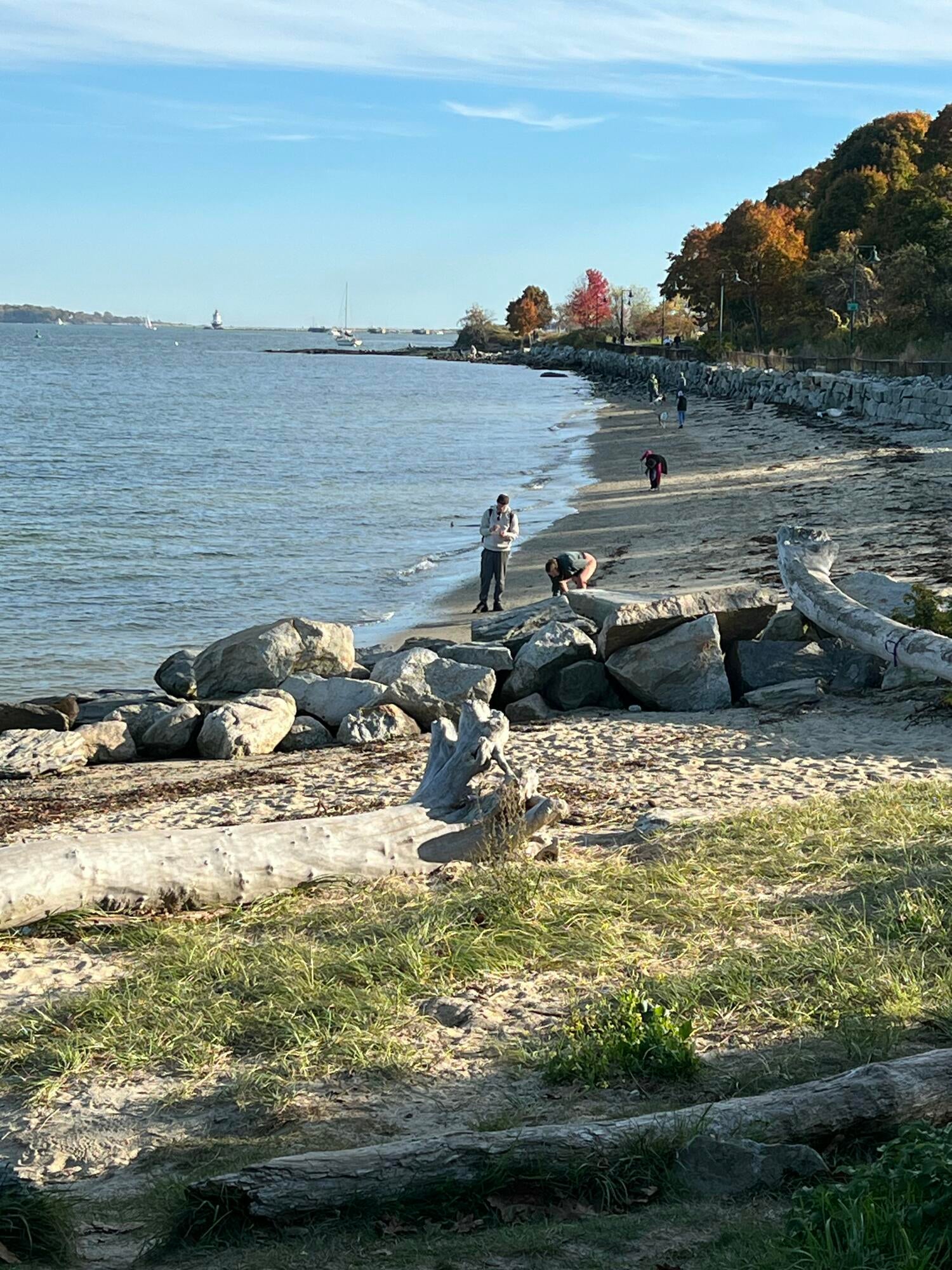 246 Eastern Promenade 401