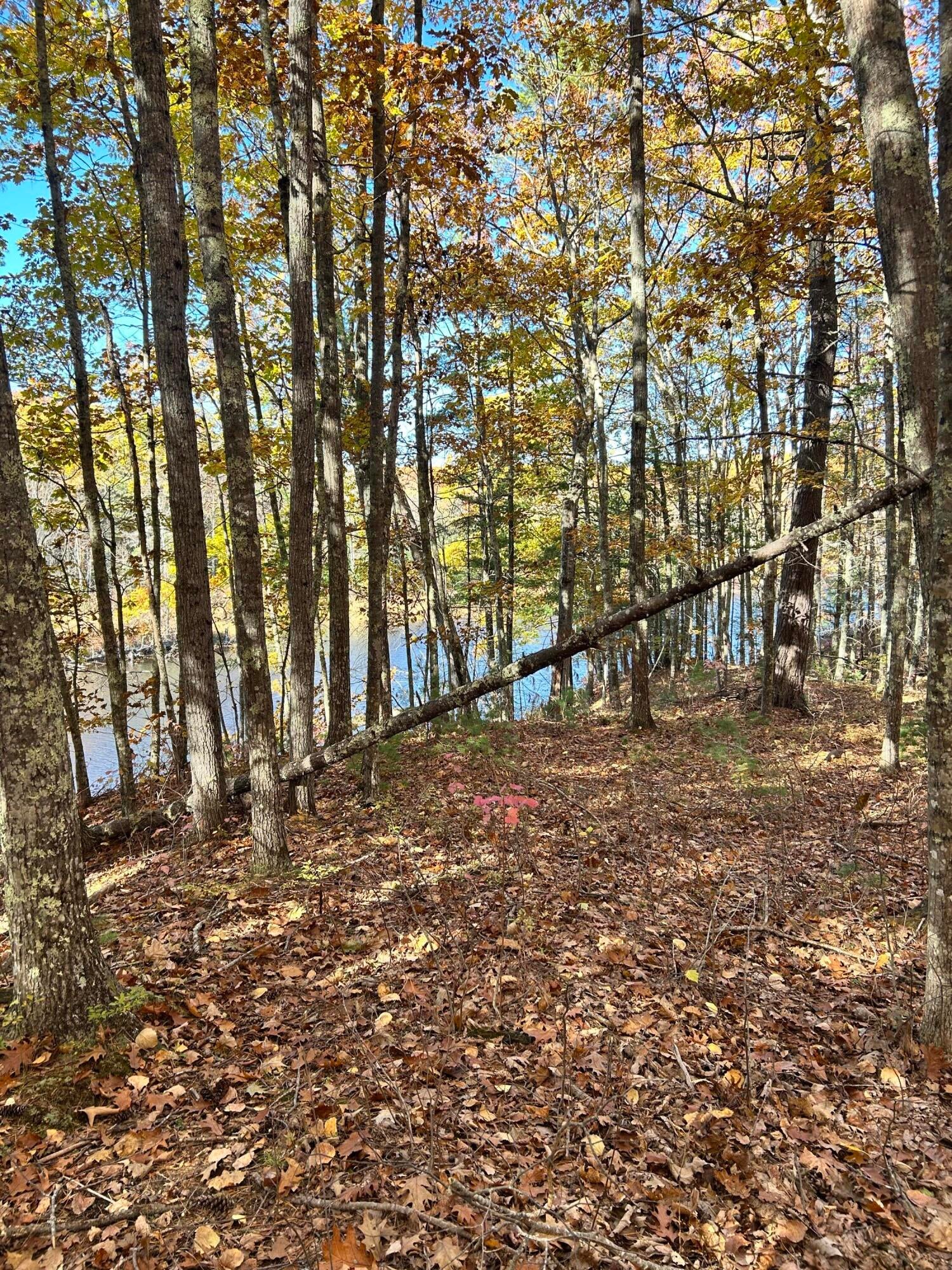 Lot 032 Overlook Court