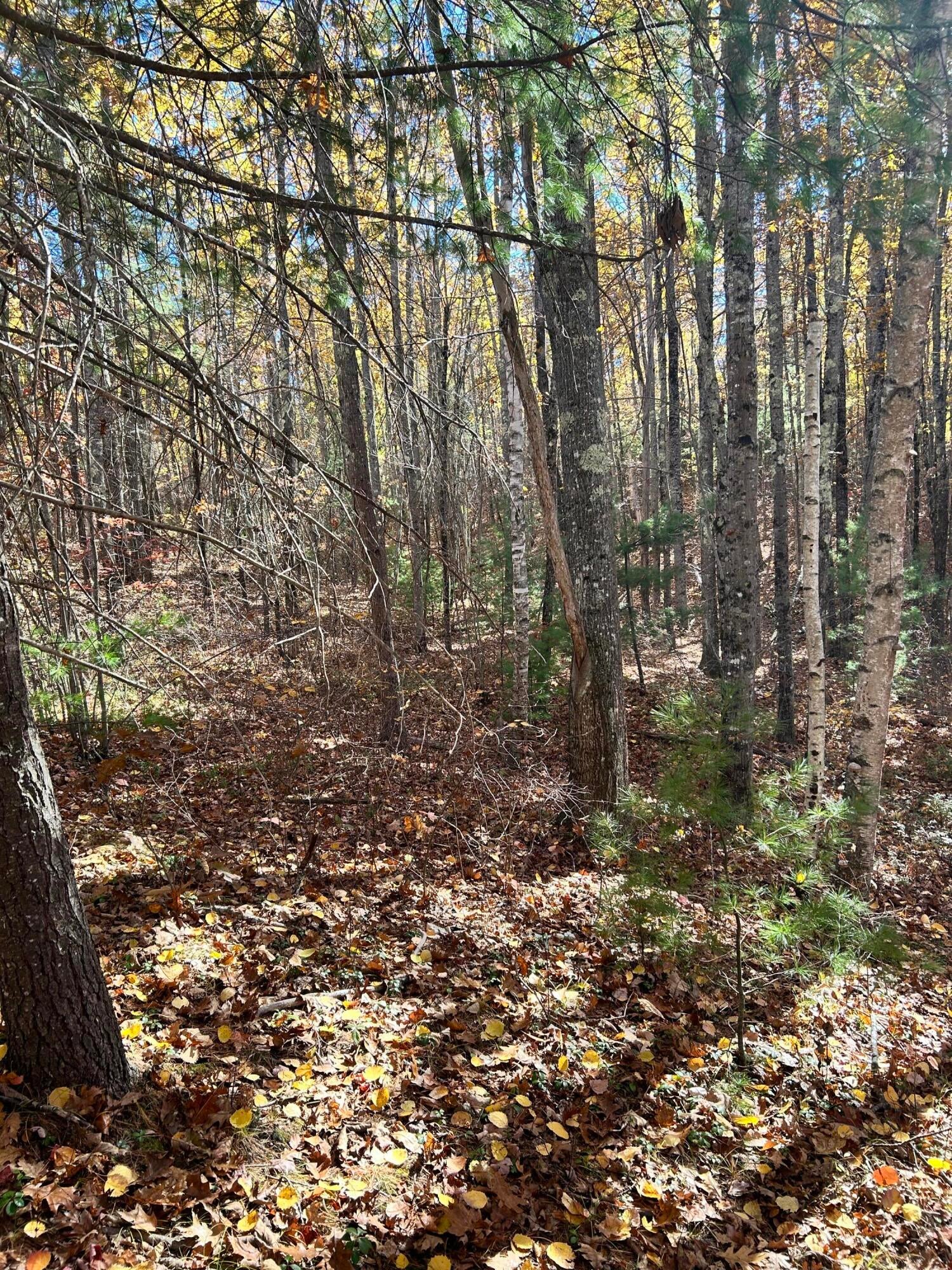 Lot 032 Overlook Court