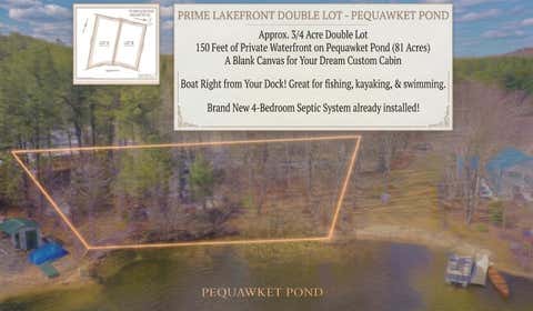 Photo of 123 Rattlesnake Road, Brownfield, ME 04010 (MLS # 1658353)