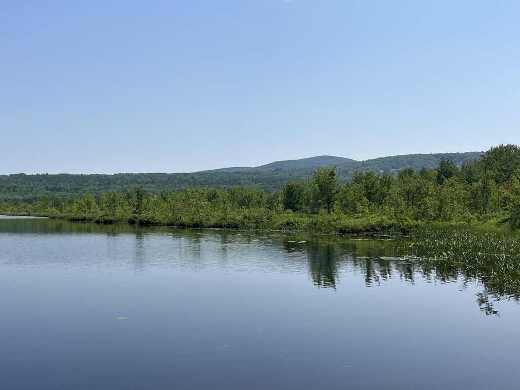 Photo of 0 Benson Hill Road #Map016,Lot009, West Paris, ME 04289 (MLS # 1670875)