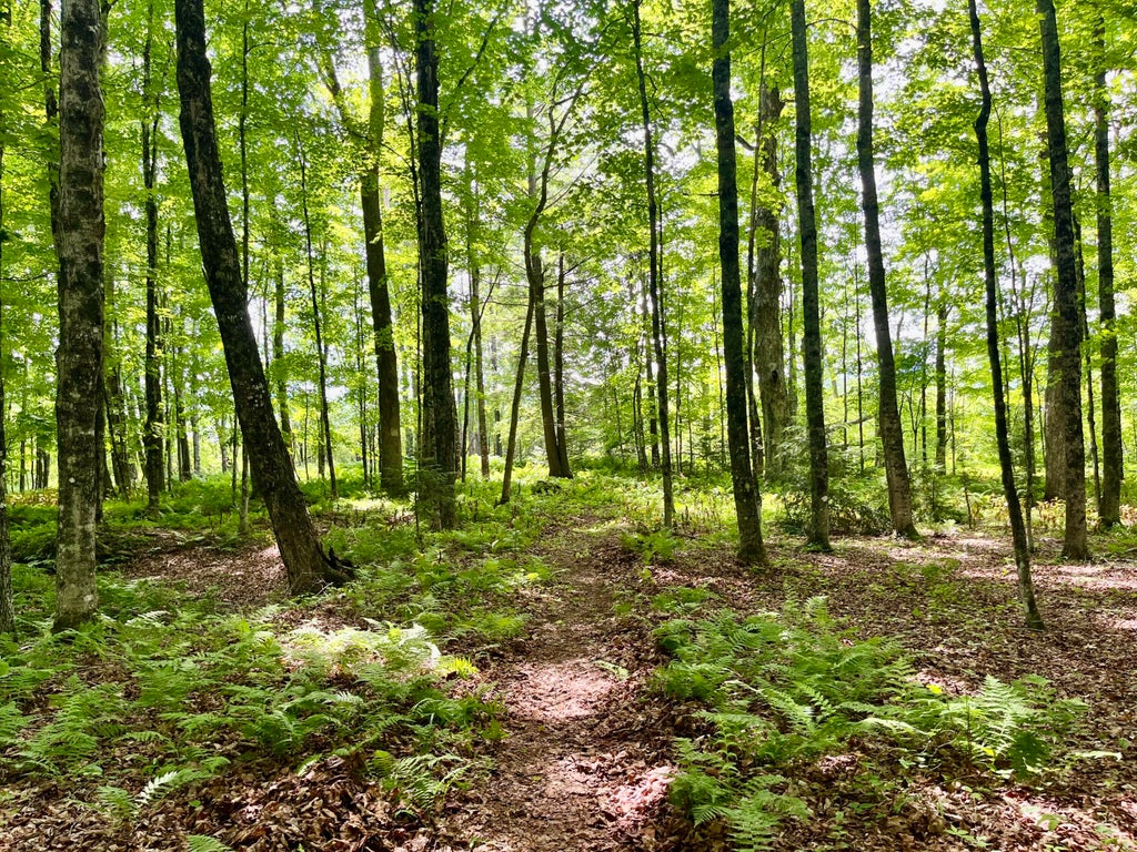 Photo of 0 Benson Hill Road #Map016,Lot009, West Paris, ME 04289 (MLS # 1670875)