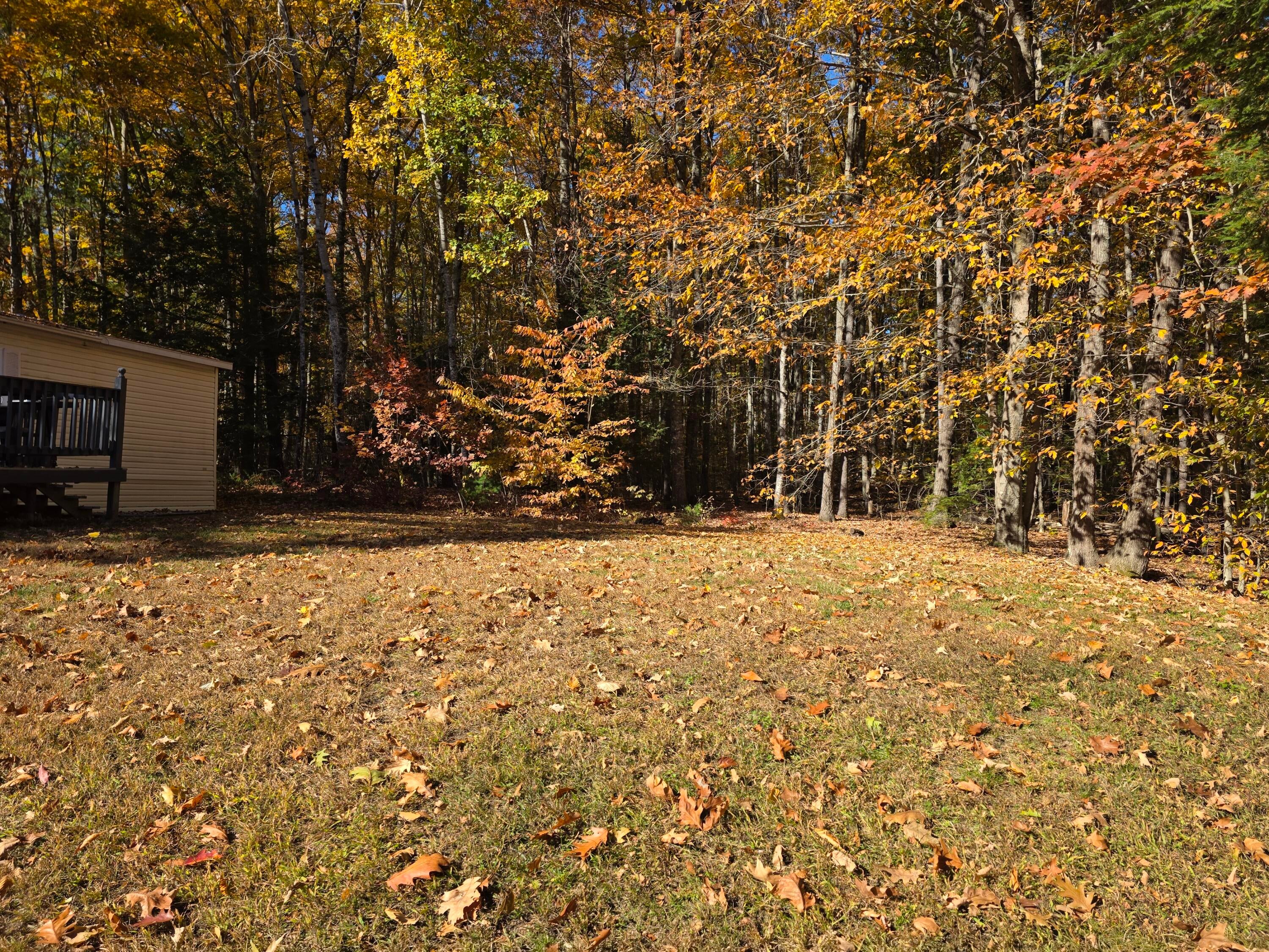206 Chicopee Road