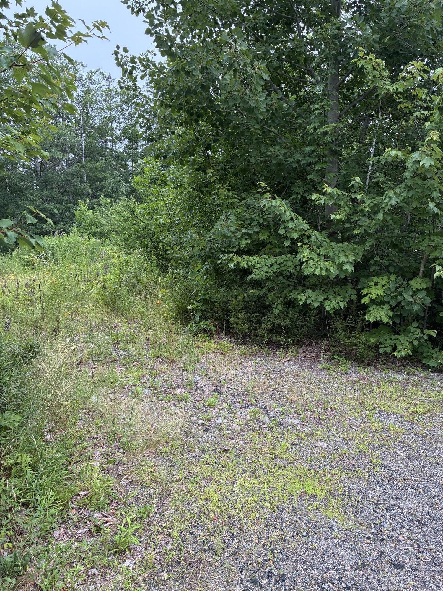 Lot 10 White Deer Circle